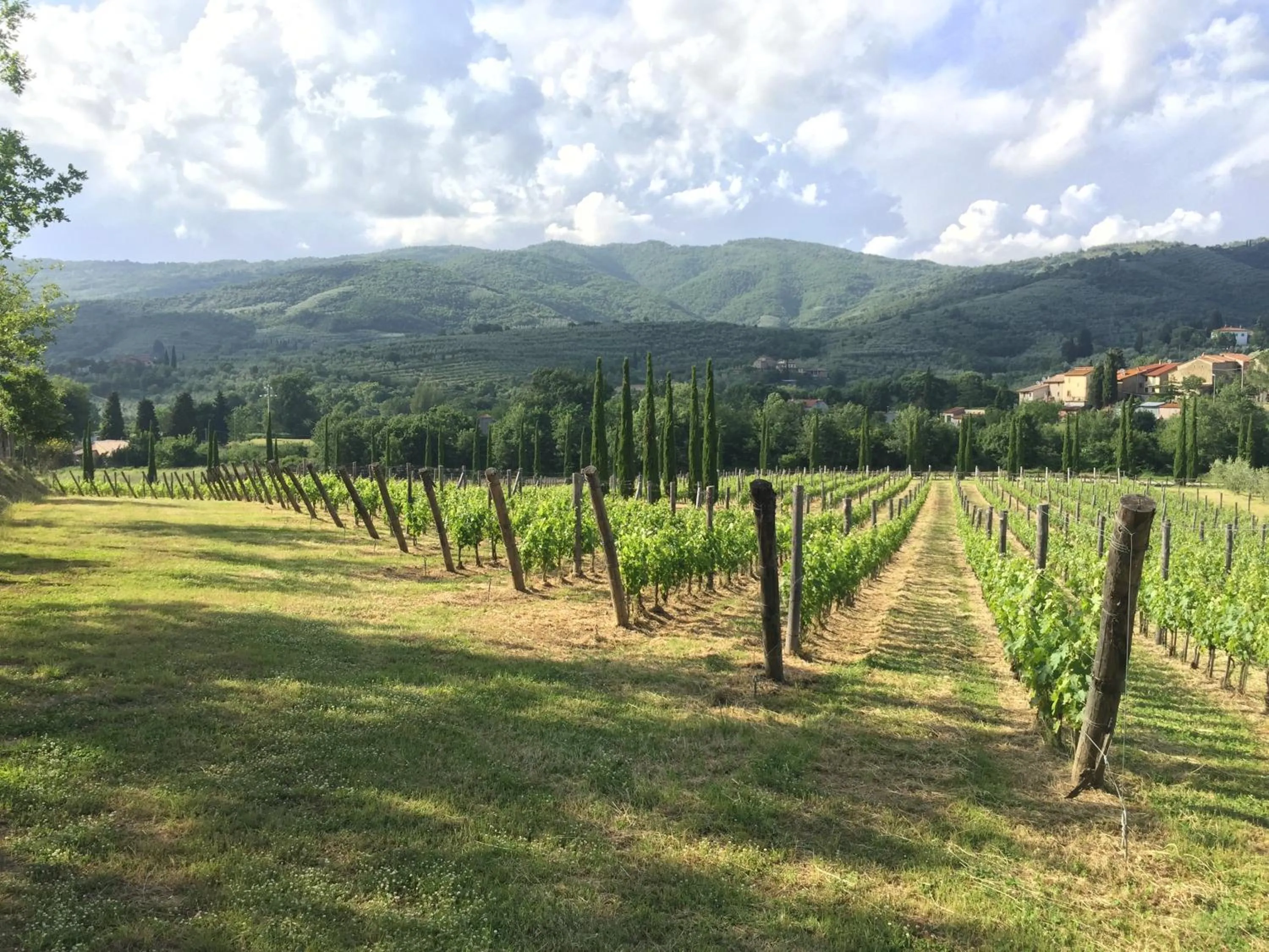 Area and facilities in Casa Portagioia