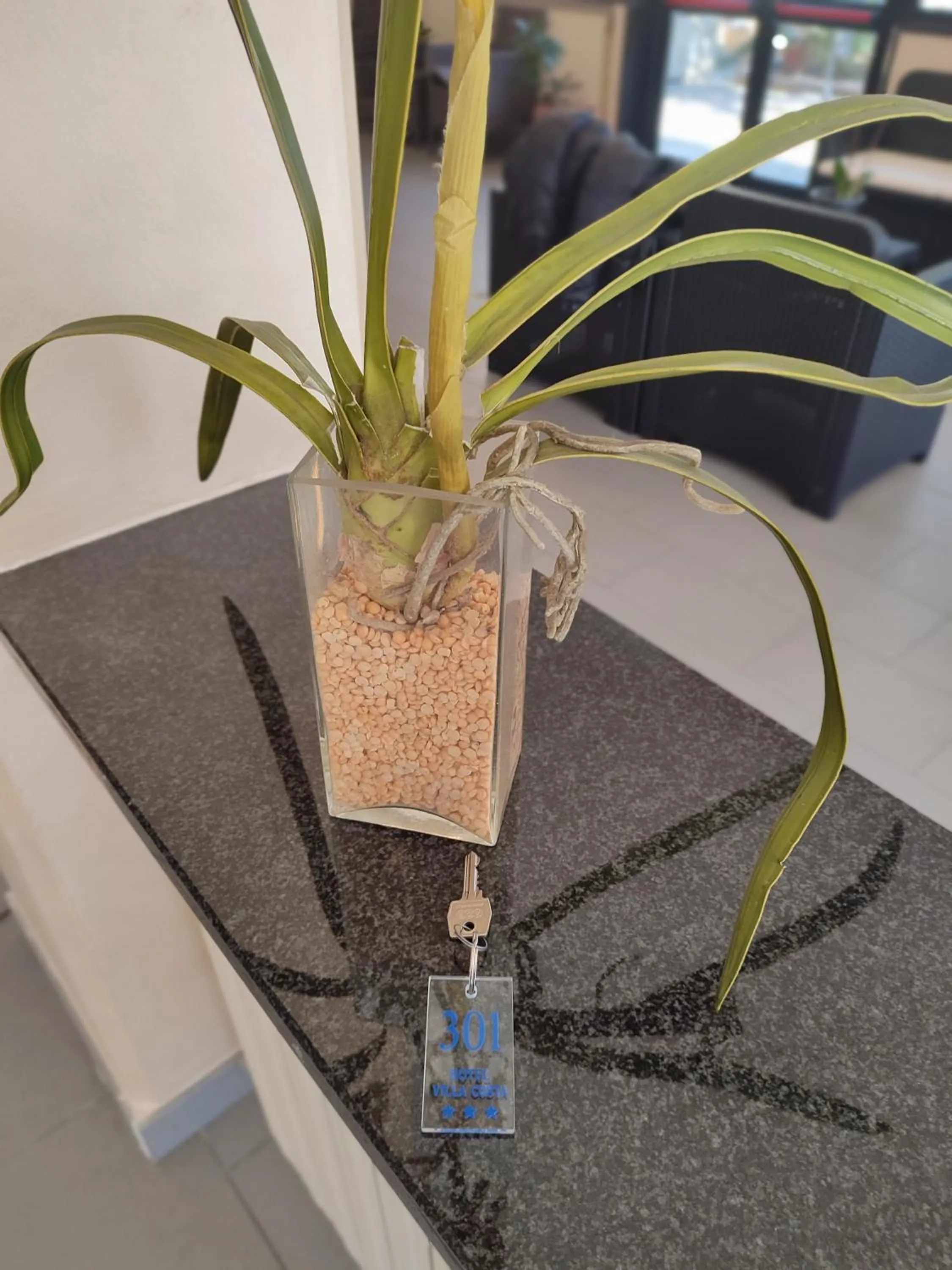 furniture in Hotel Villa Costa