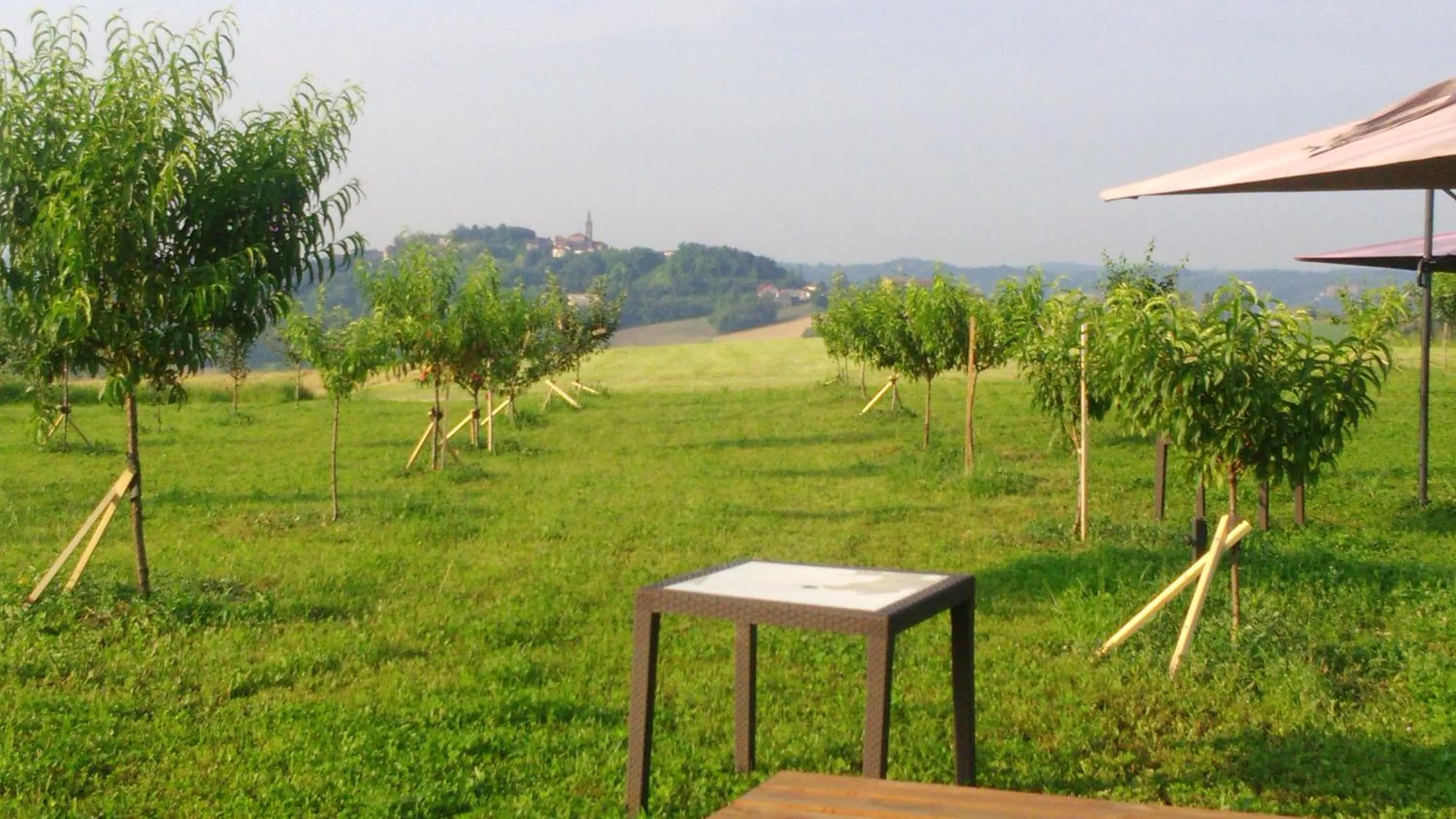 Natural landscape in il Balcone sul Monferrato