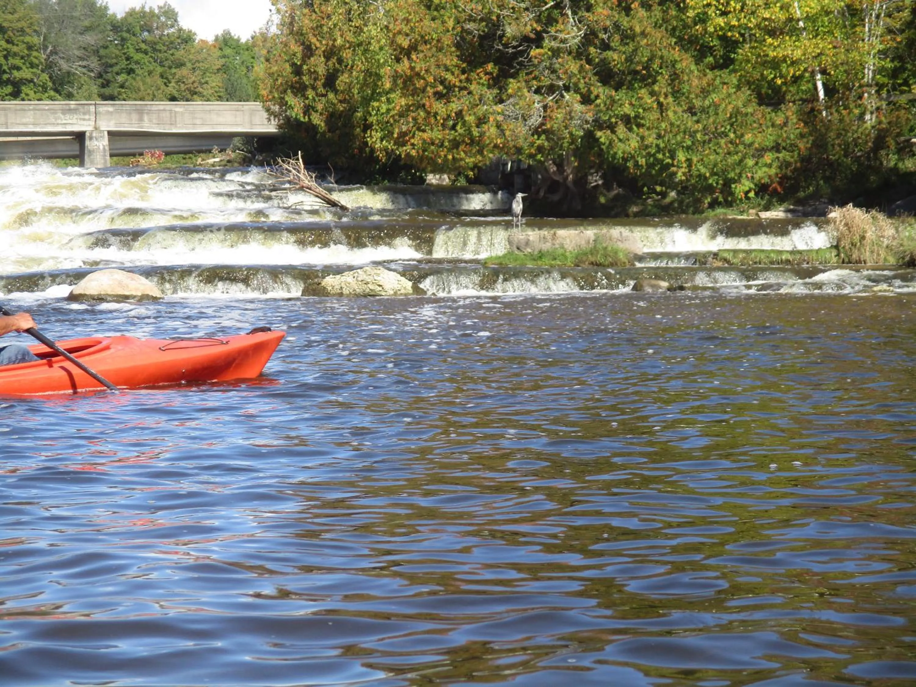 Activities in Sauble River Marina and Lodge Resort