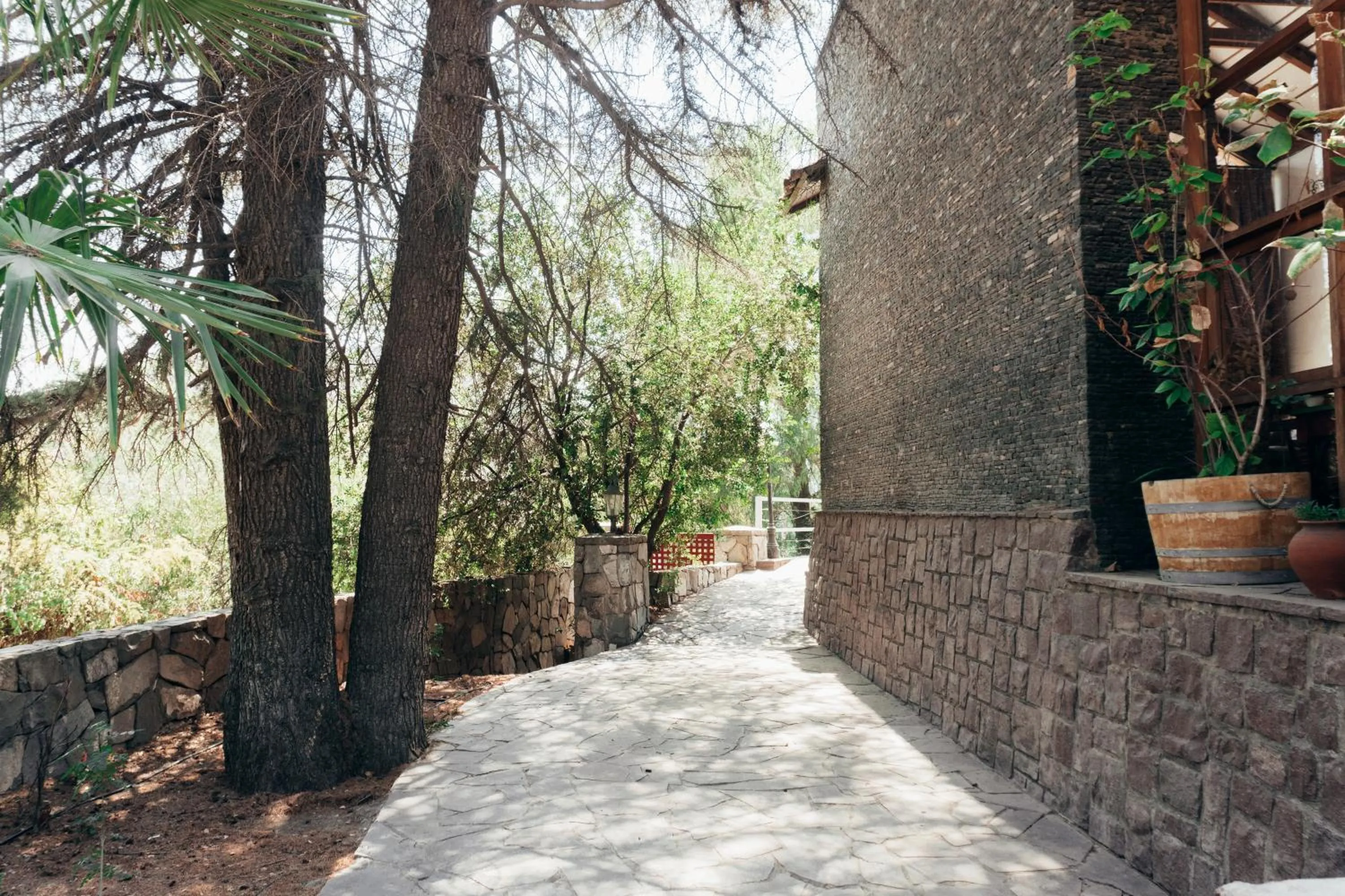 Garden view in Casa Arrayán