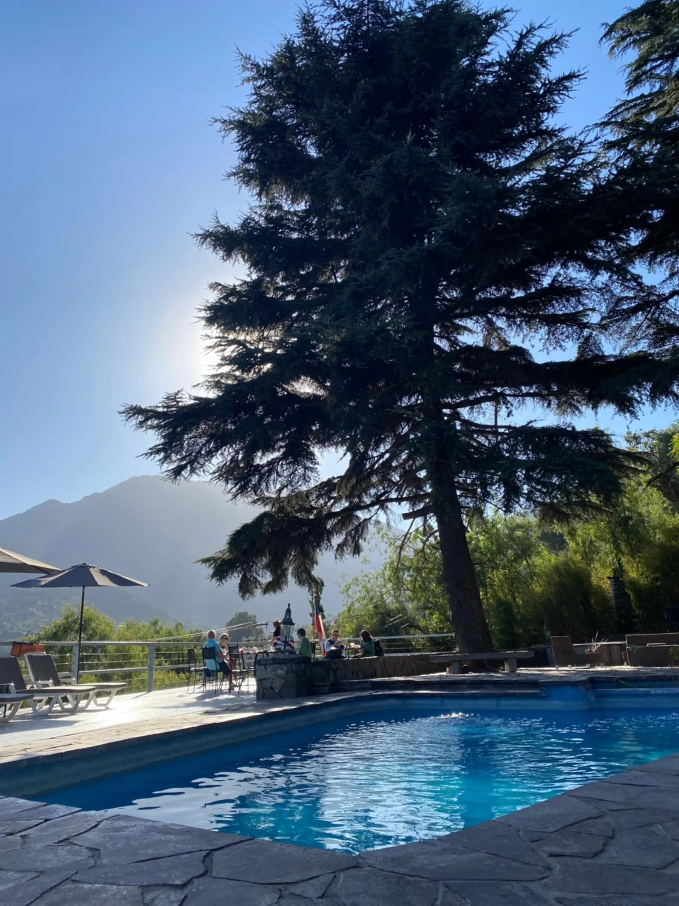 Natural landscape in Casa Arrayán