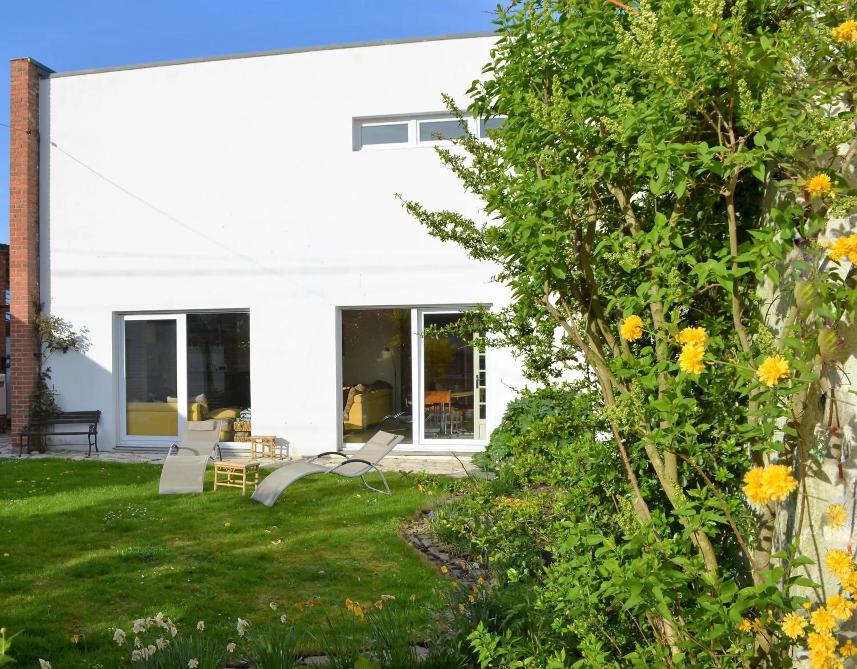 Garden in Annette's Home