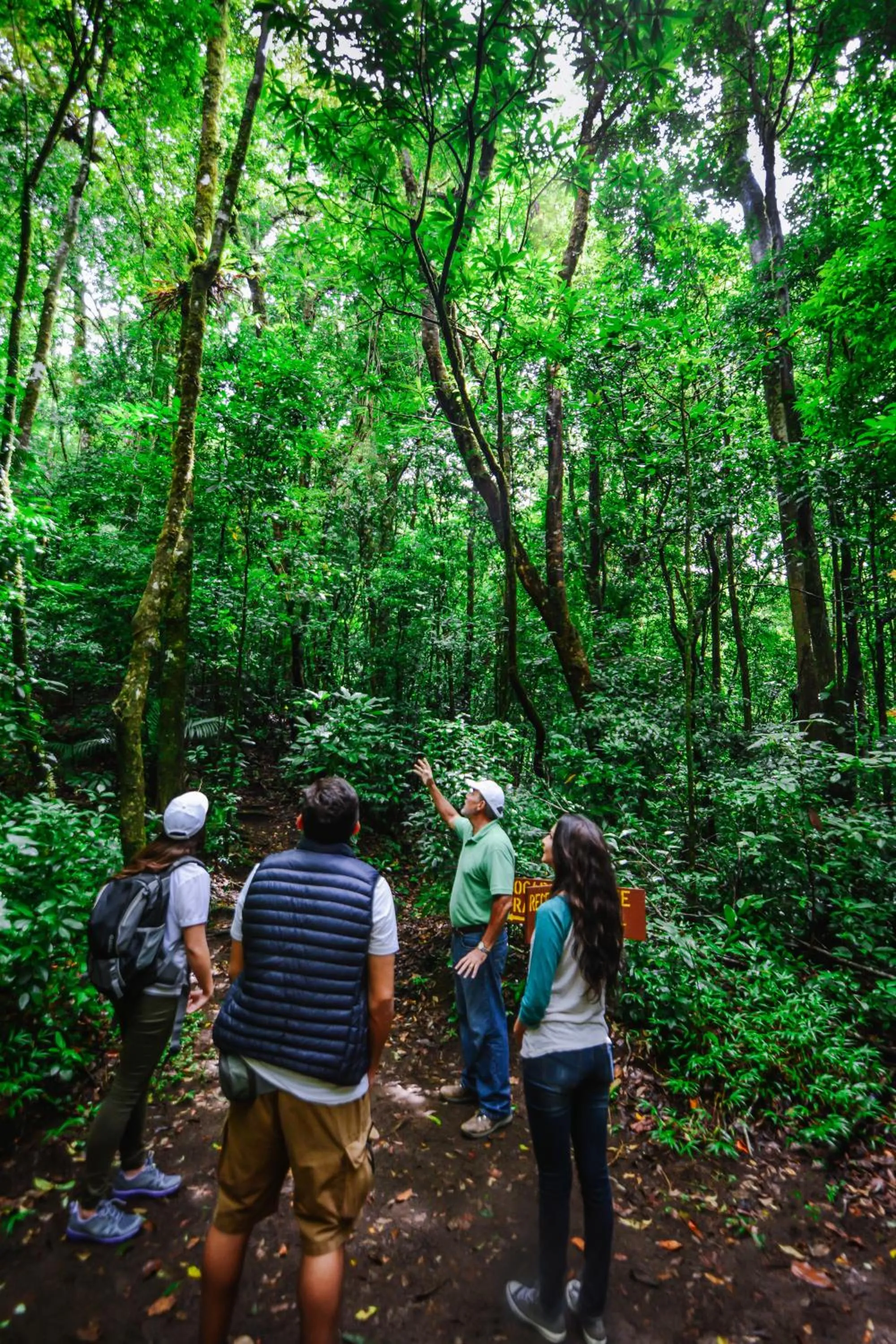 Activities in Cloud Forest Lodge