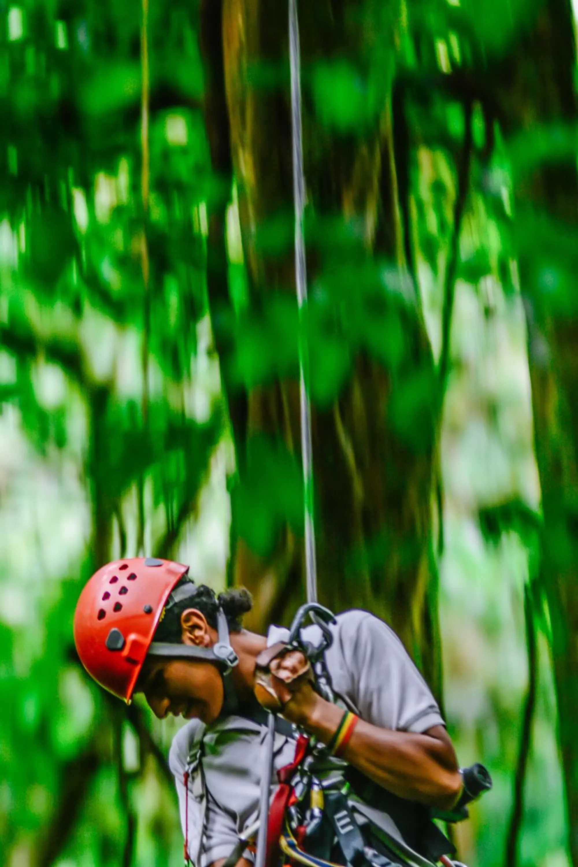 Activities in Cloud Forest Lodge