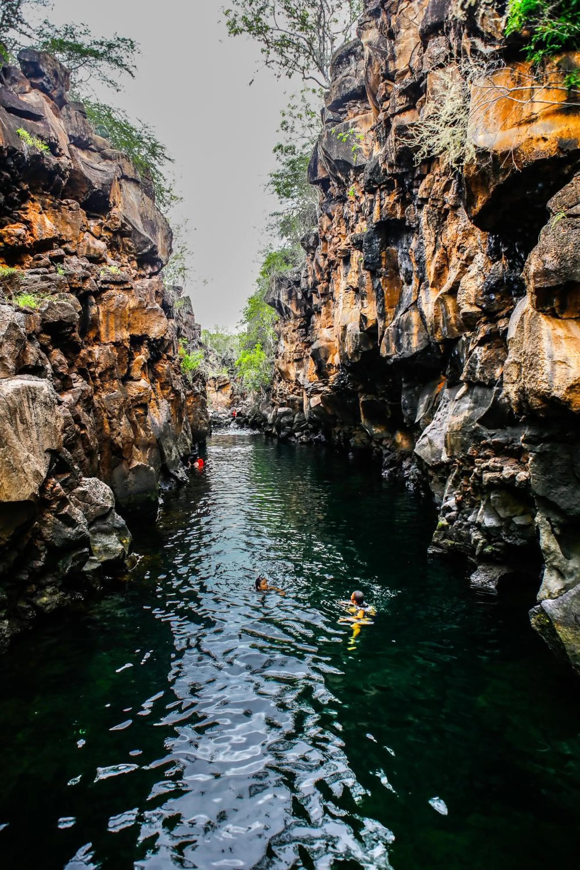 Natural landscape in Hotel Cucuve