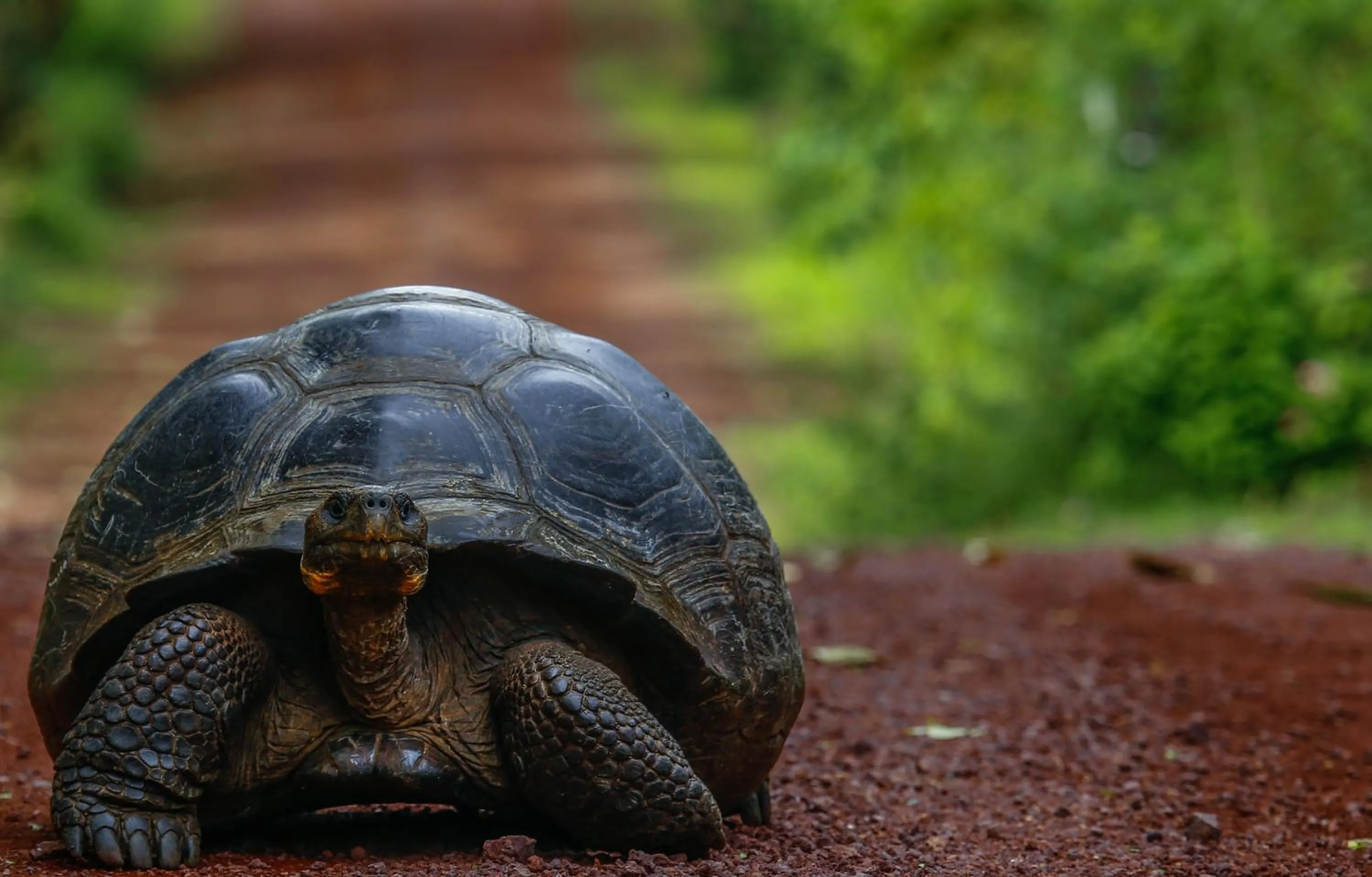 Nearby landmark in Hotel Cucuve