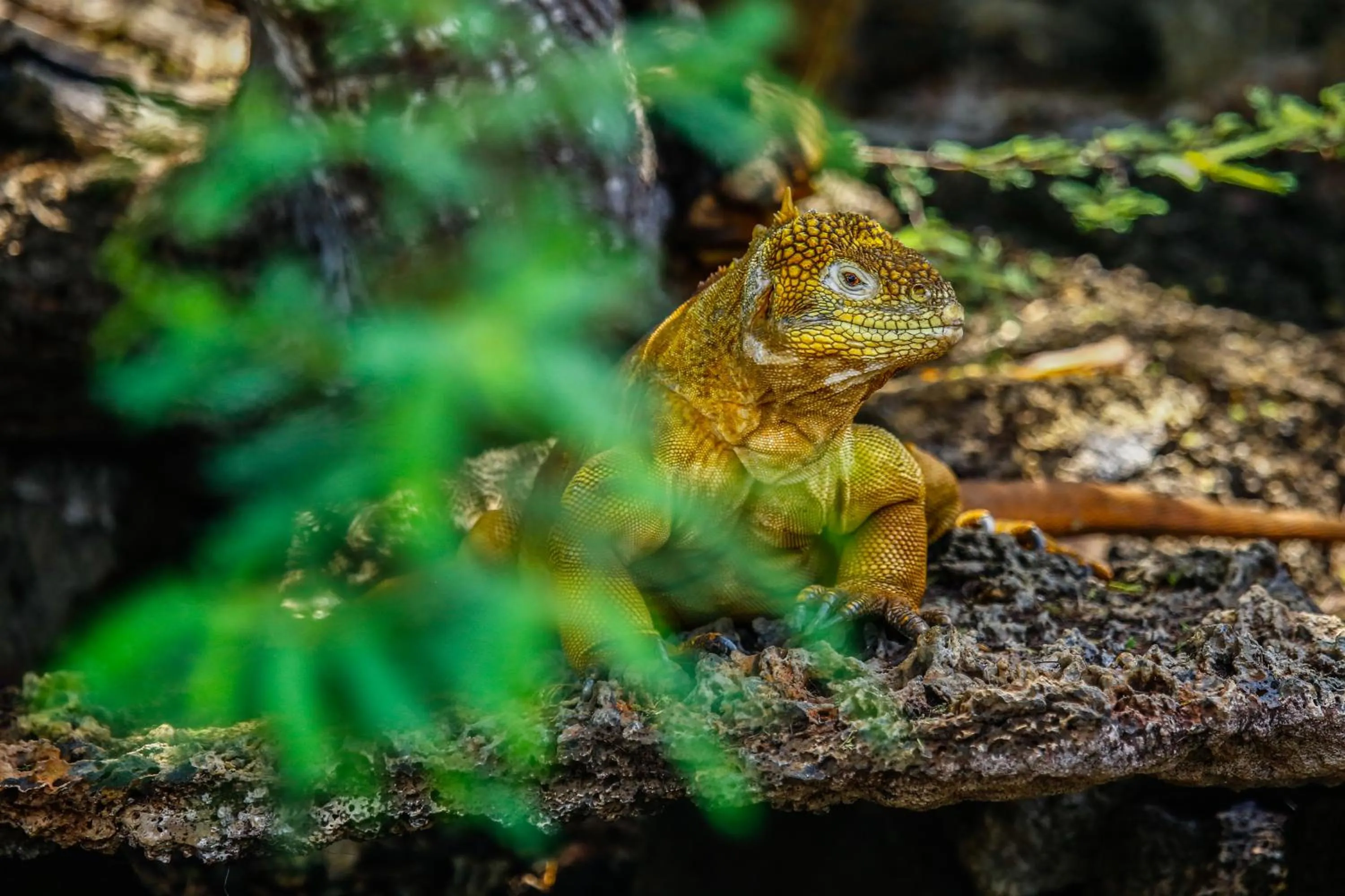Hiking in Hotel Cucuve
