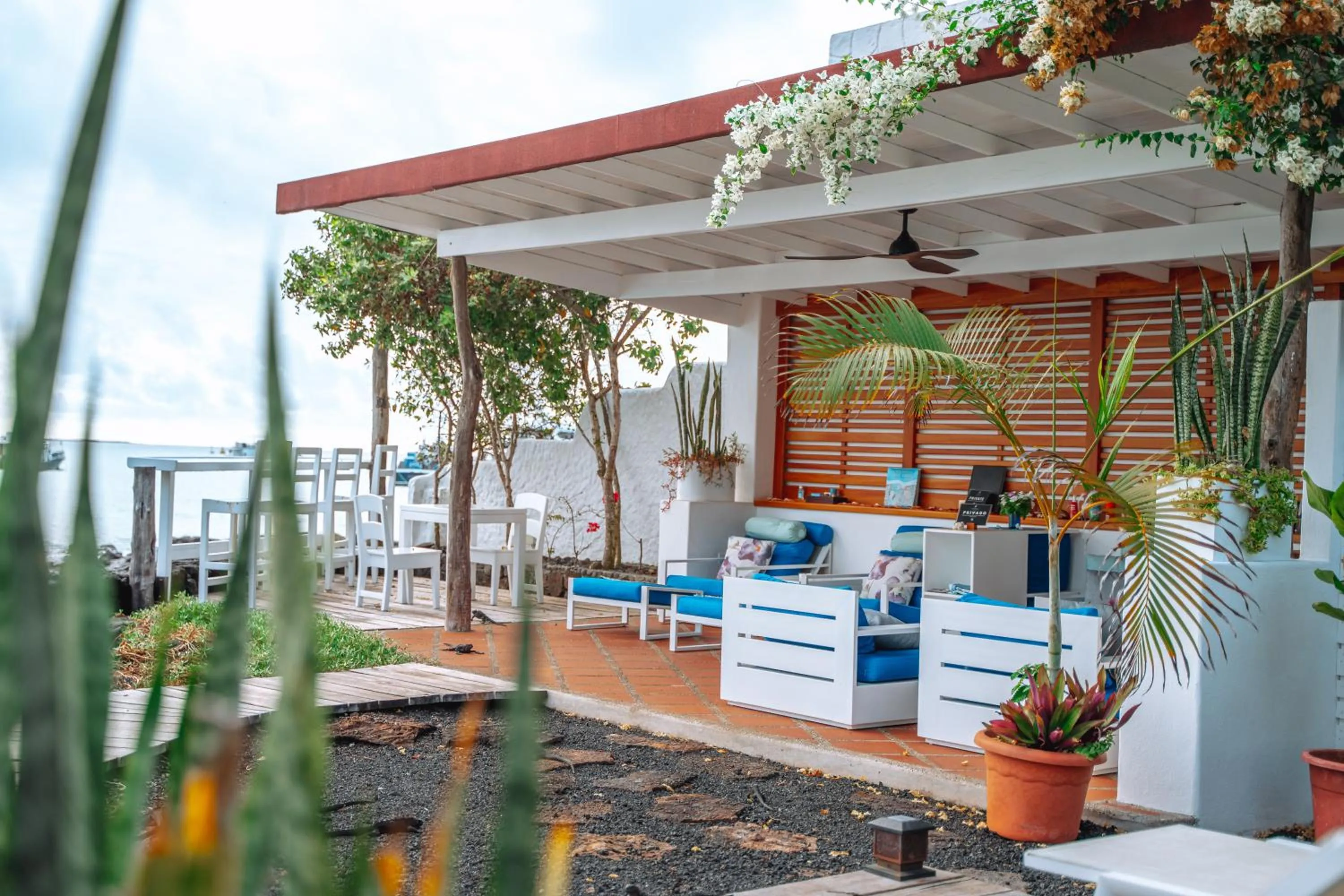 Balcony/Terrace in Hotel Cucuve