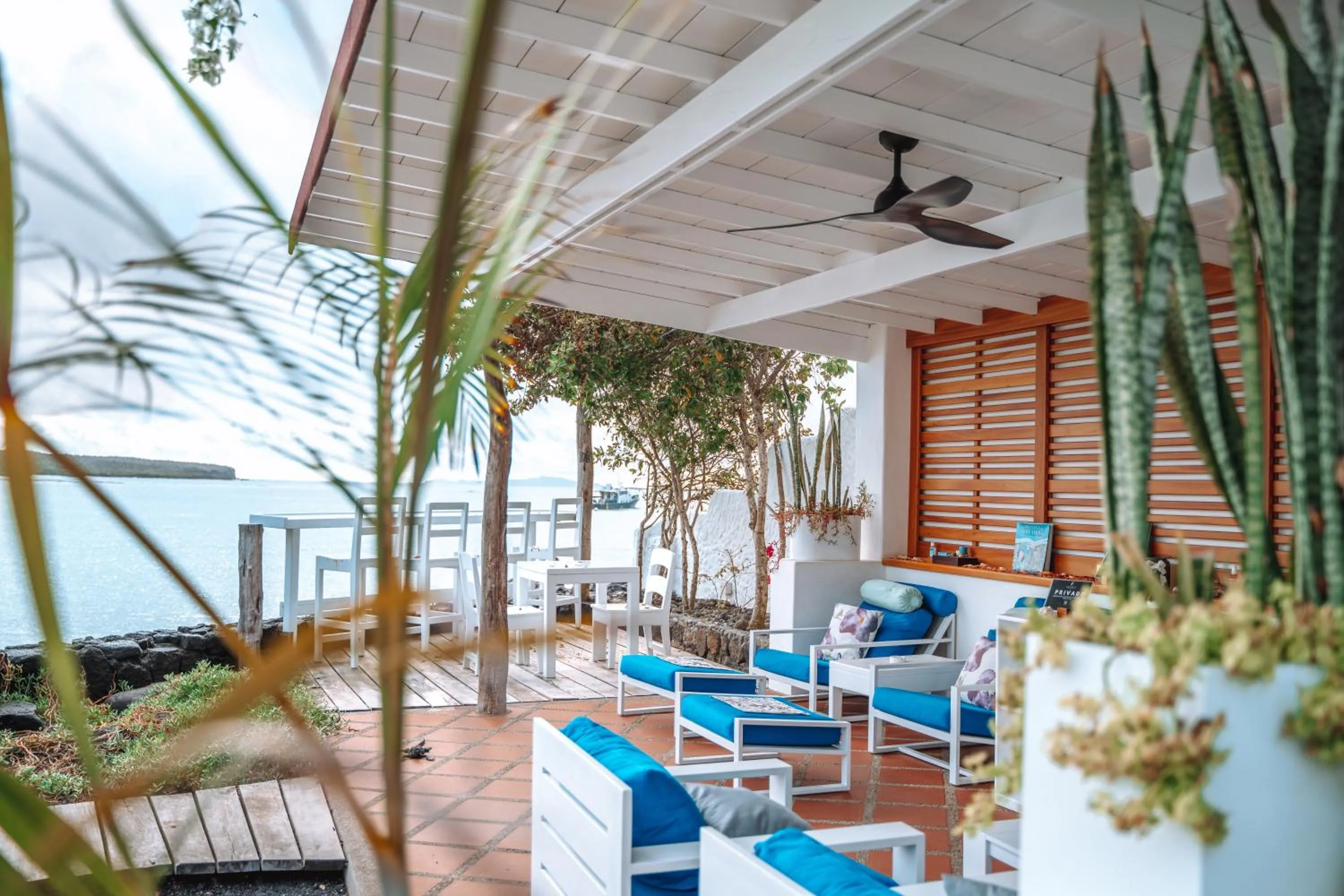 Balcony/Terrace in Hotel Cucuve