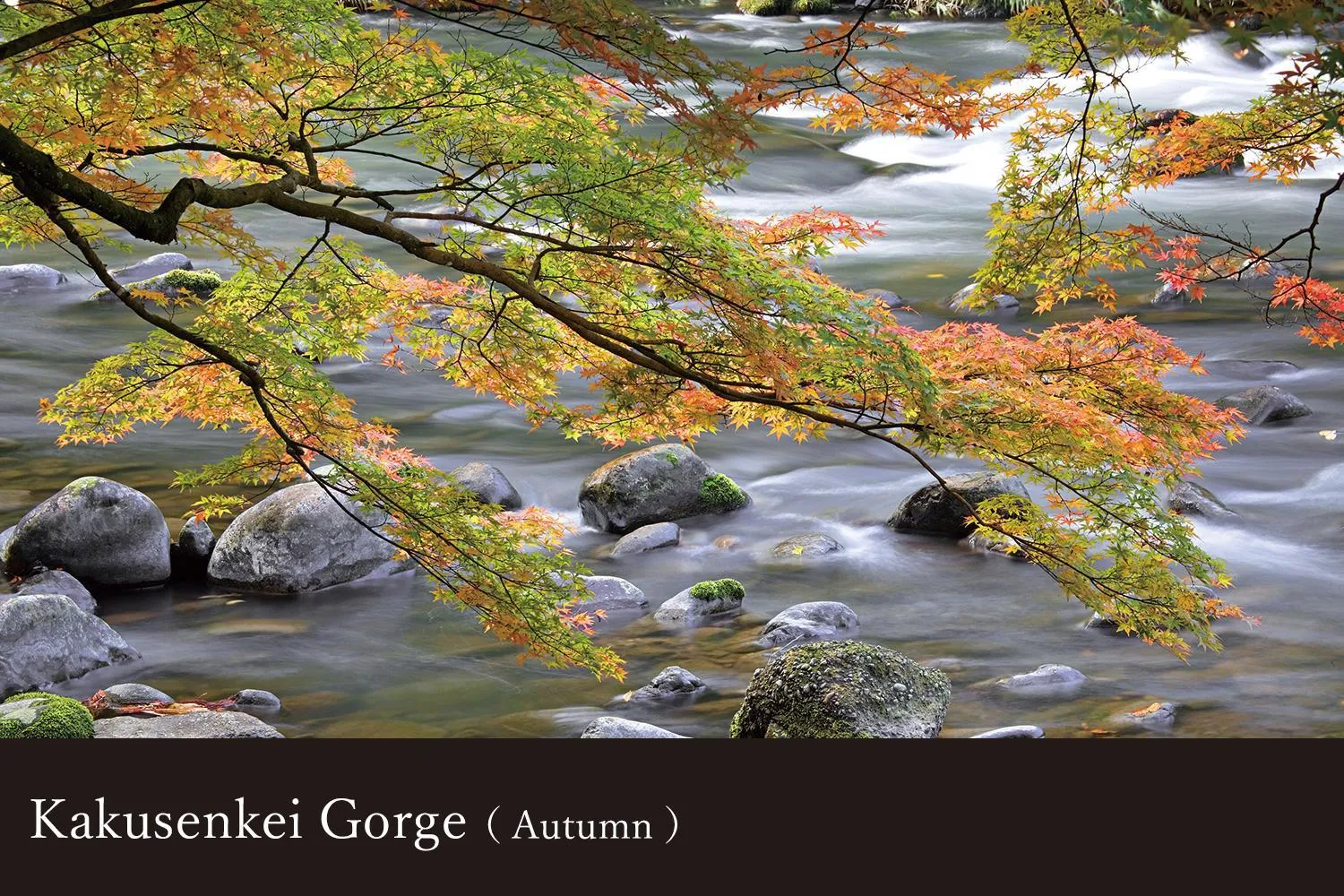 Yamanaka Onsen Kissho Yamanaka