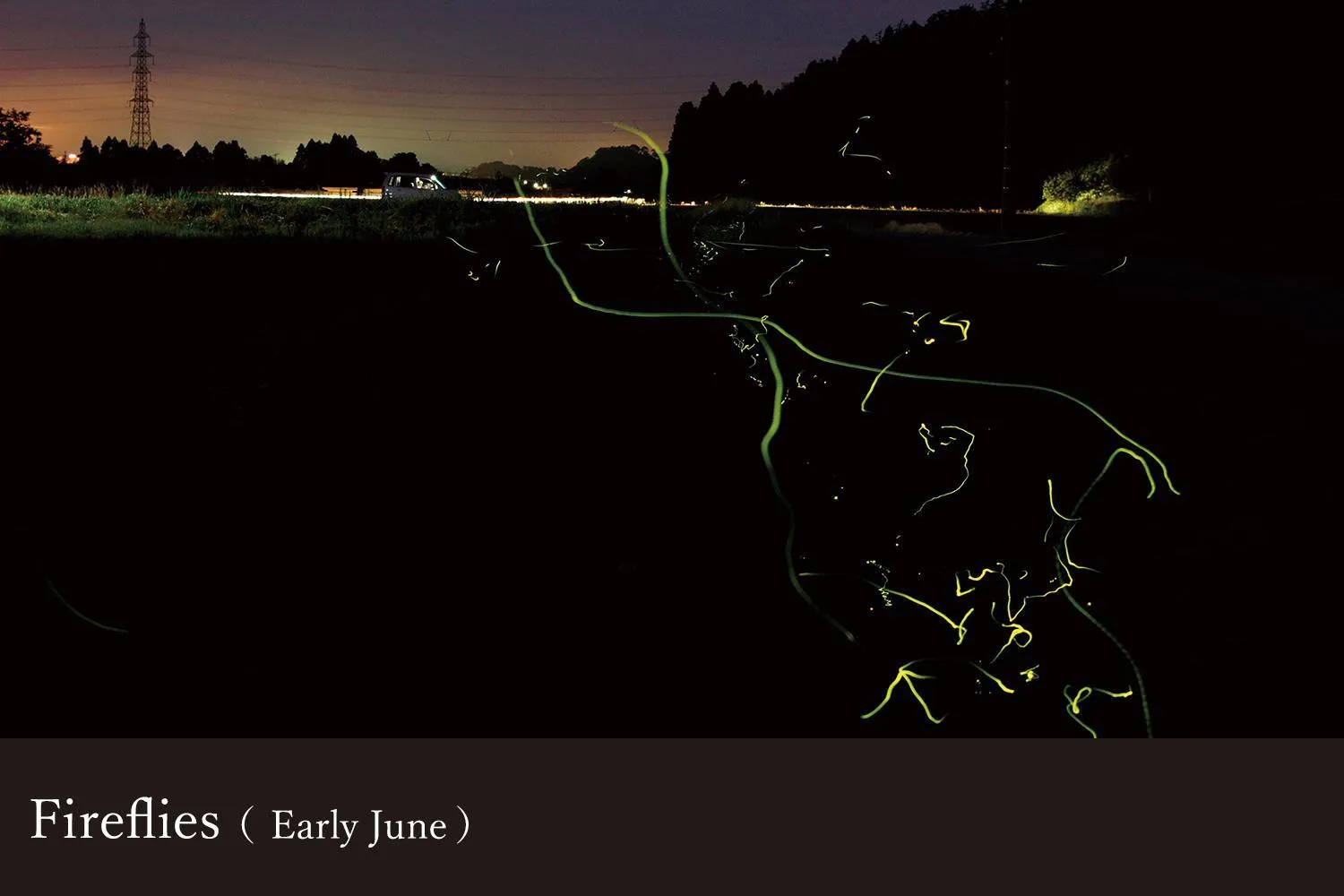 Yamanaka Onsen Kissho Yamanaka