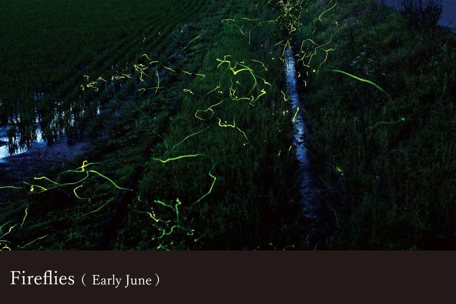 Yamanaka Onsen Kissho Yamanaka