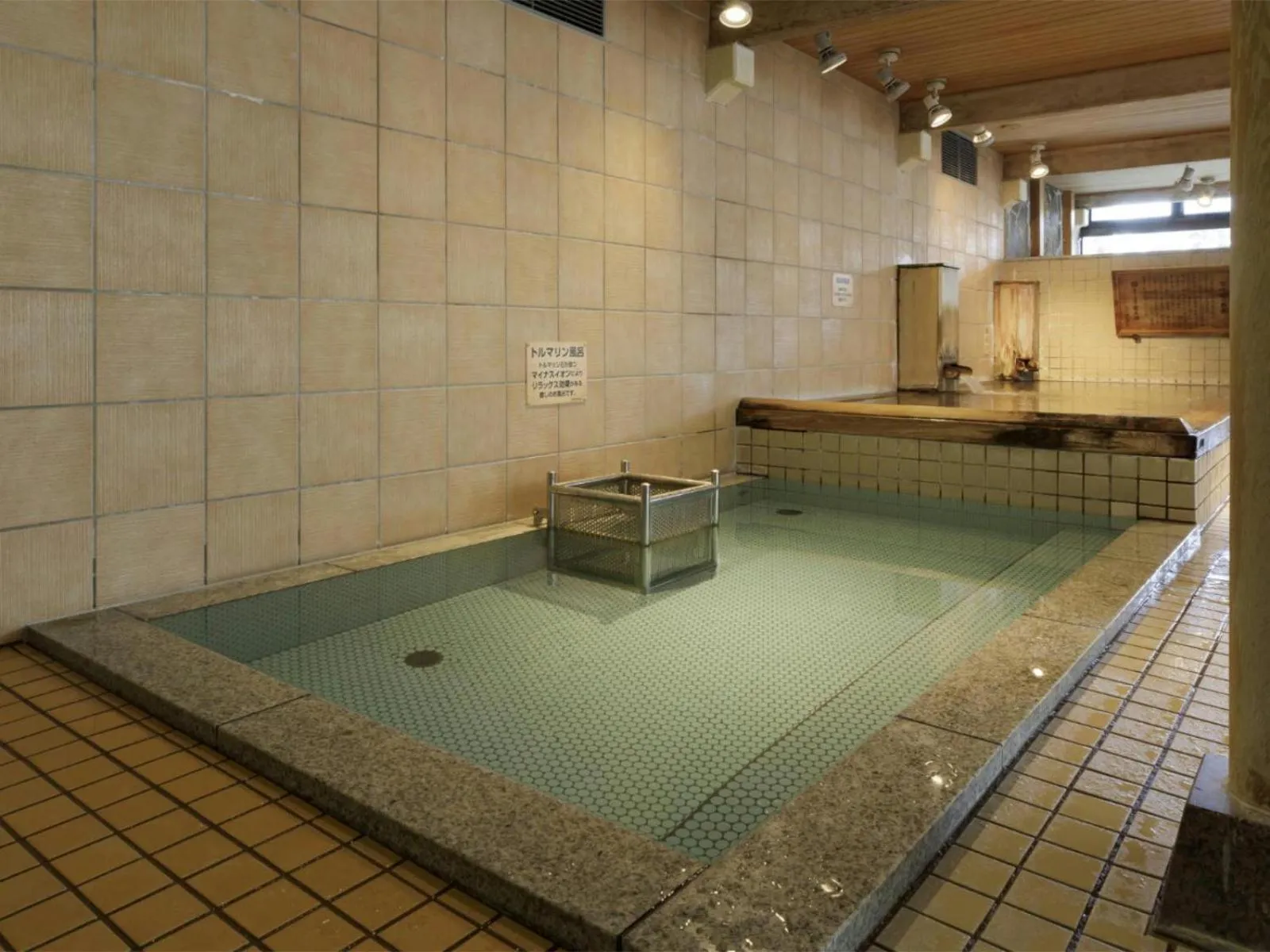 Hot Spring Bath in Aishinkan