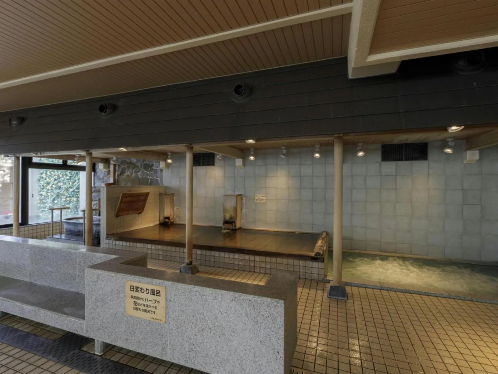 Hot Spring Bath in Aishinkan