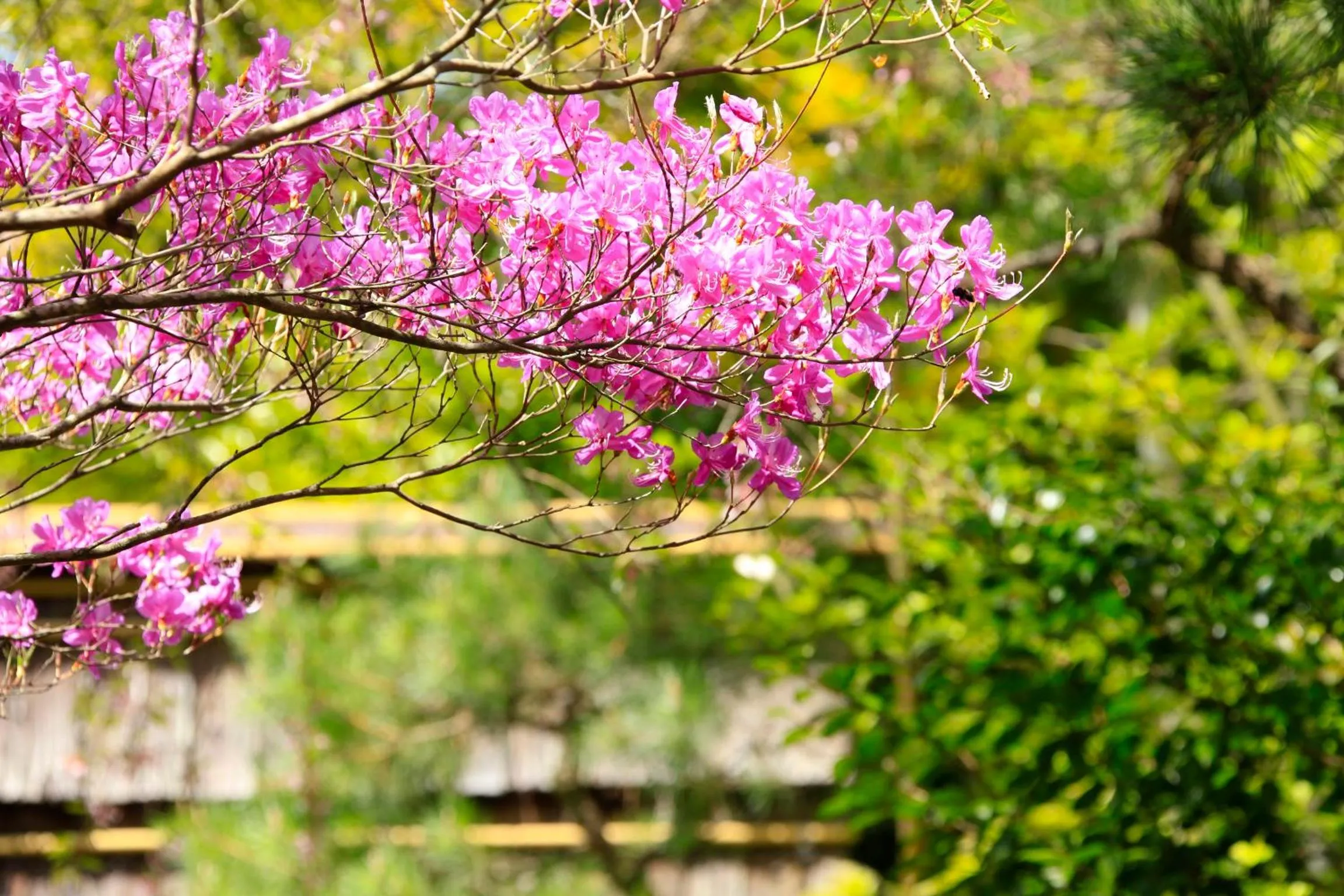 On site in Yutorelo-an