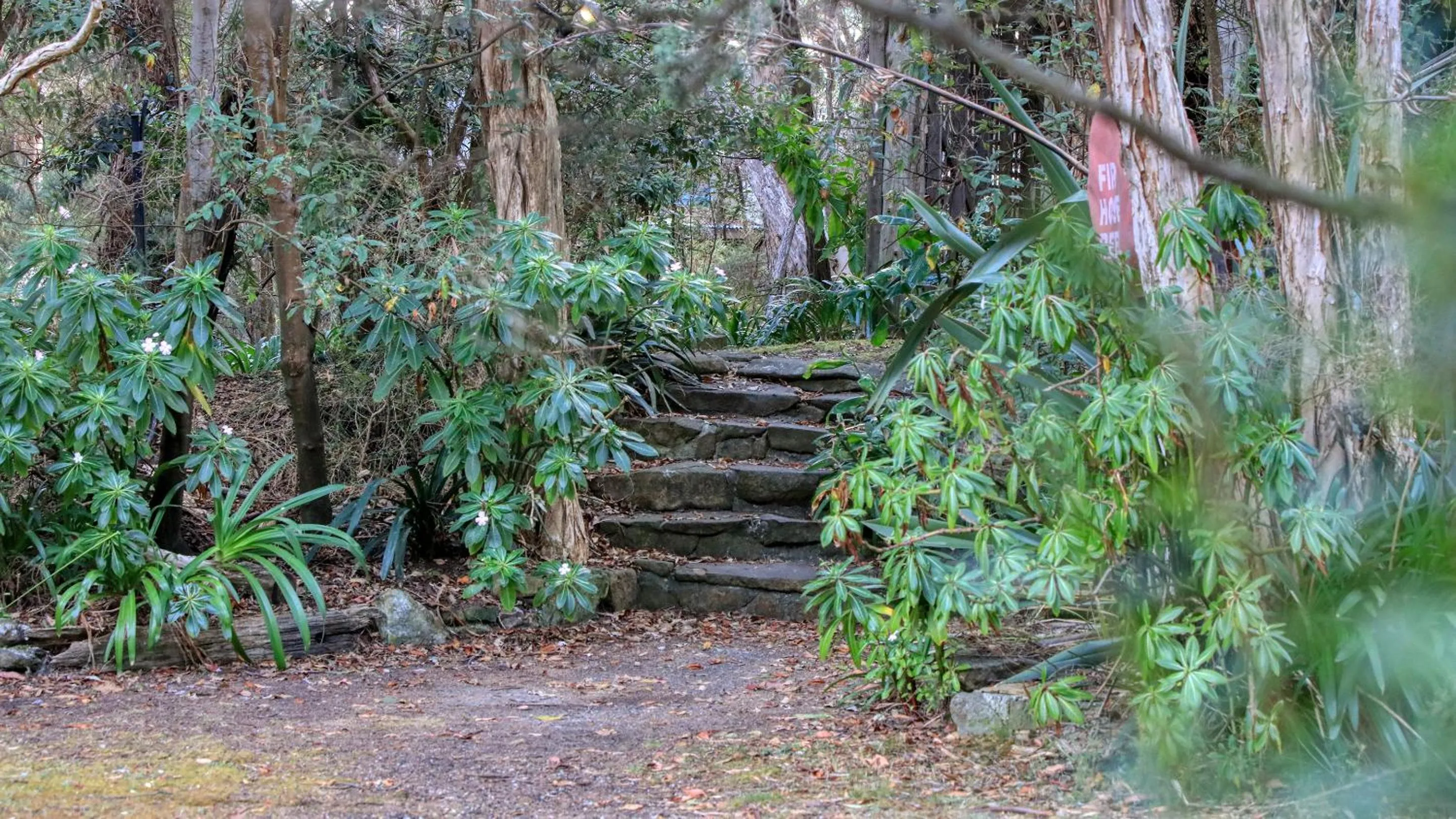 Natural landscape in Crayfish Creek Van & Cabin Park