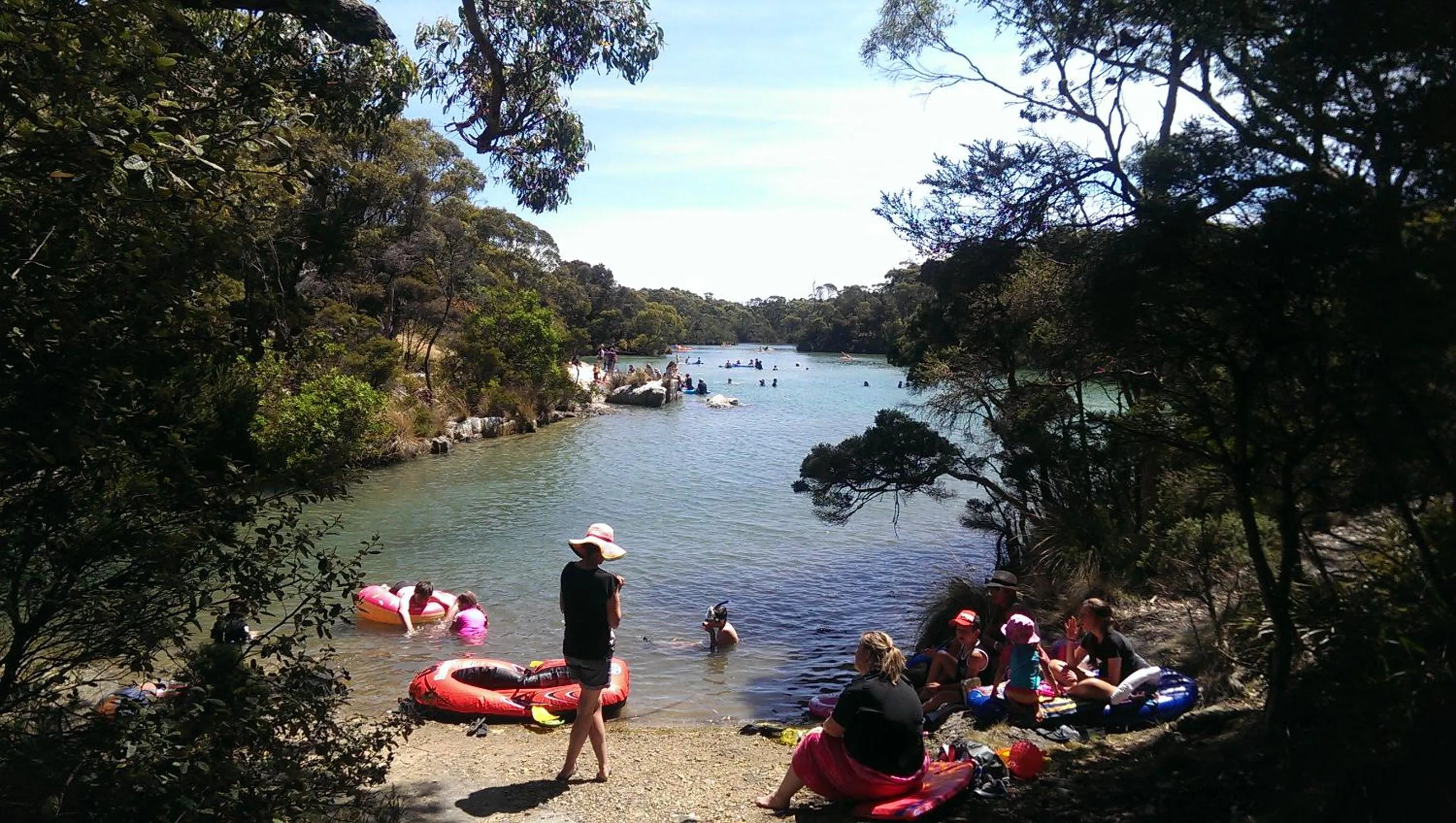 Natural landscape in Crayfish Creek Van & Cabin Park