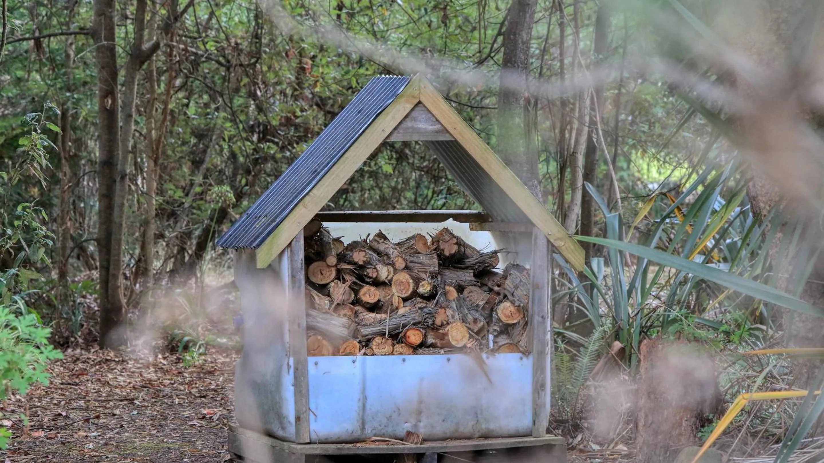 Natural landscape in Crayfish Creek Van & Cabin Park