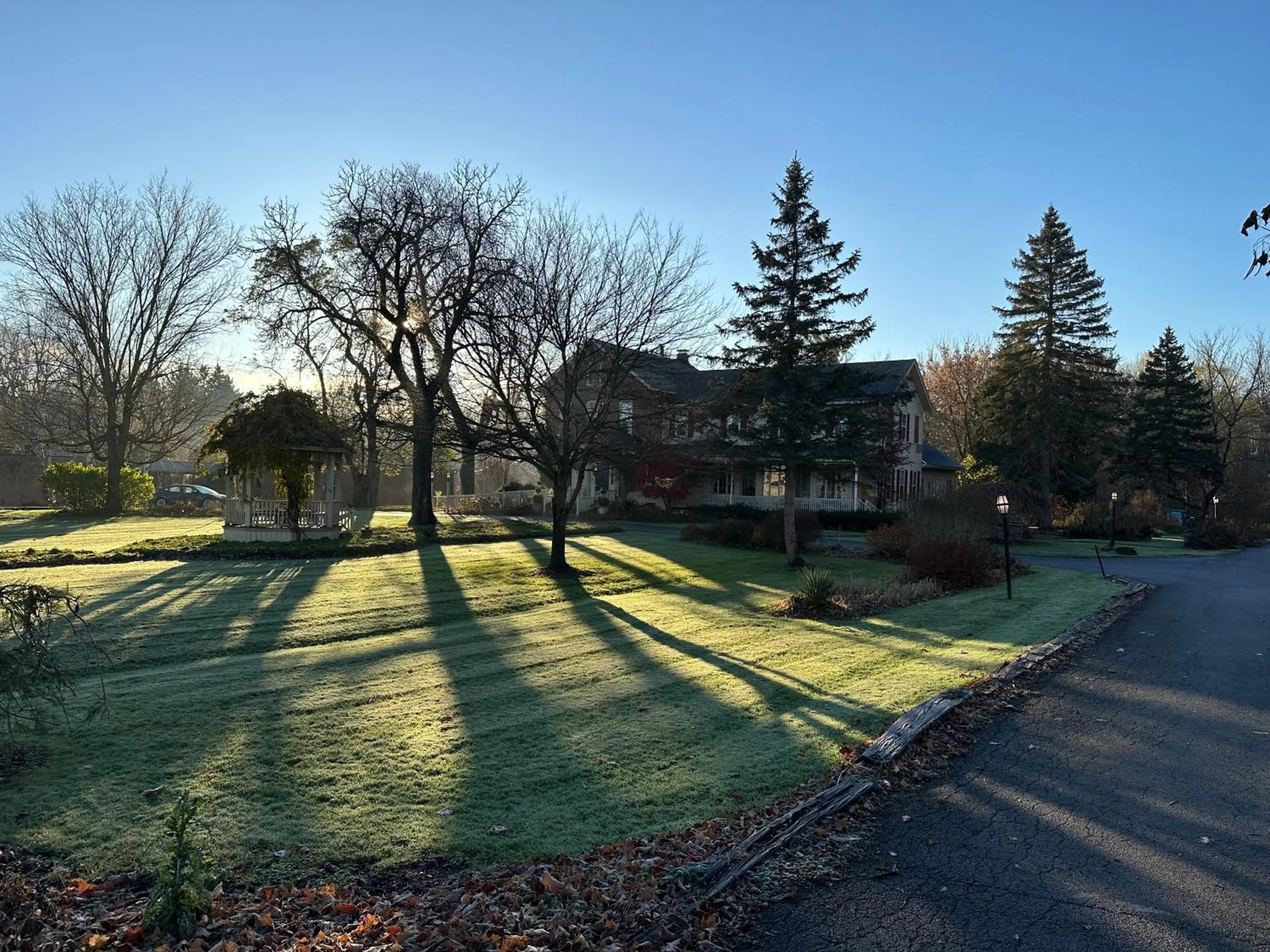 Property building in Asa Ransom House