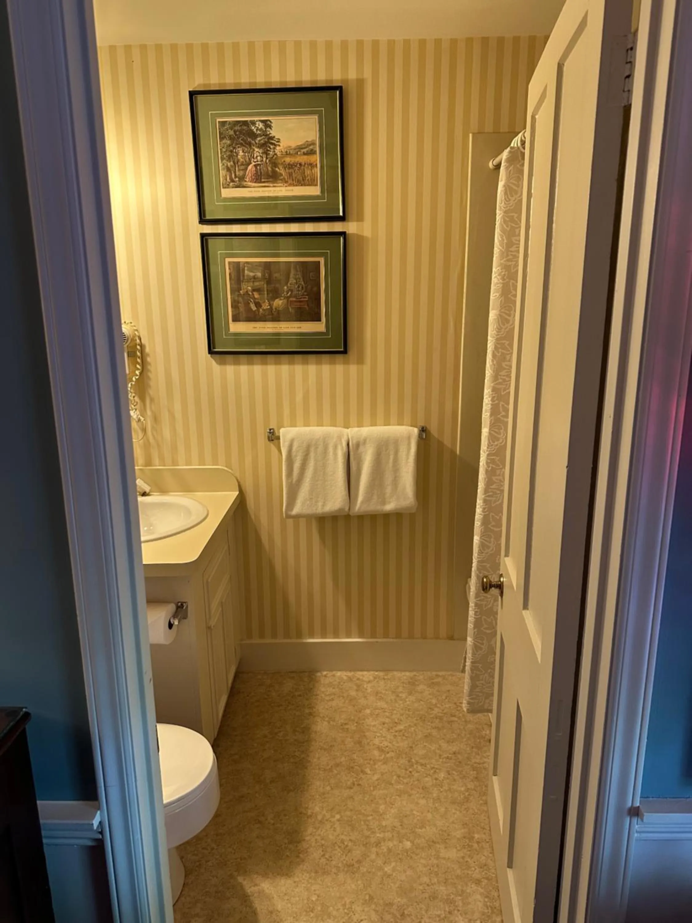 Bathroom in Asa Ransom House