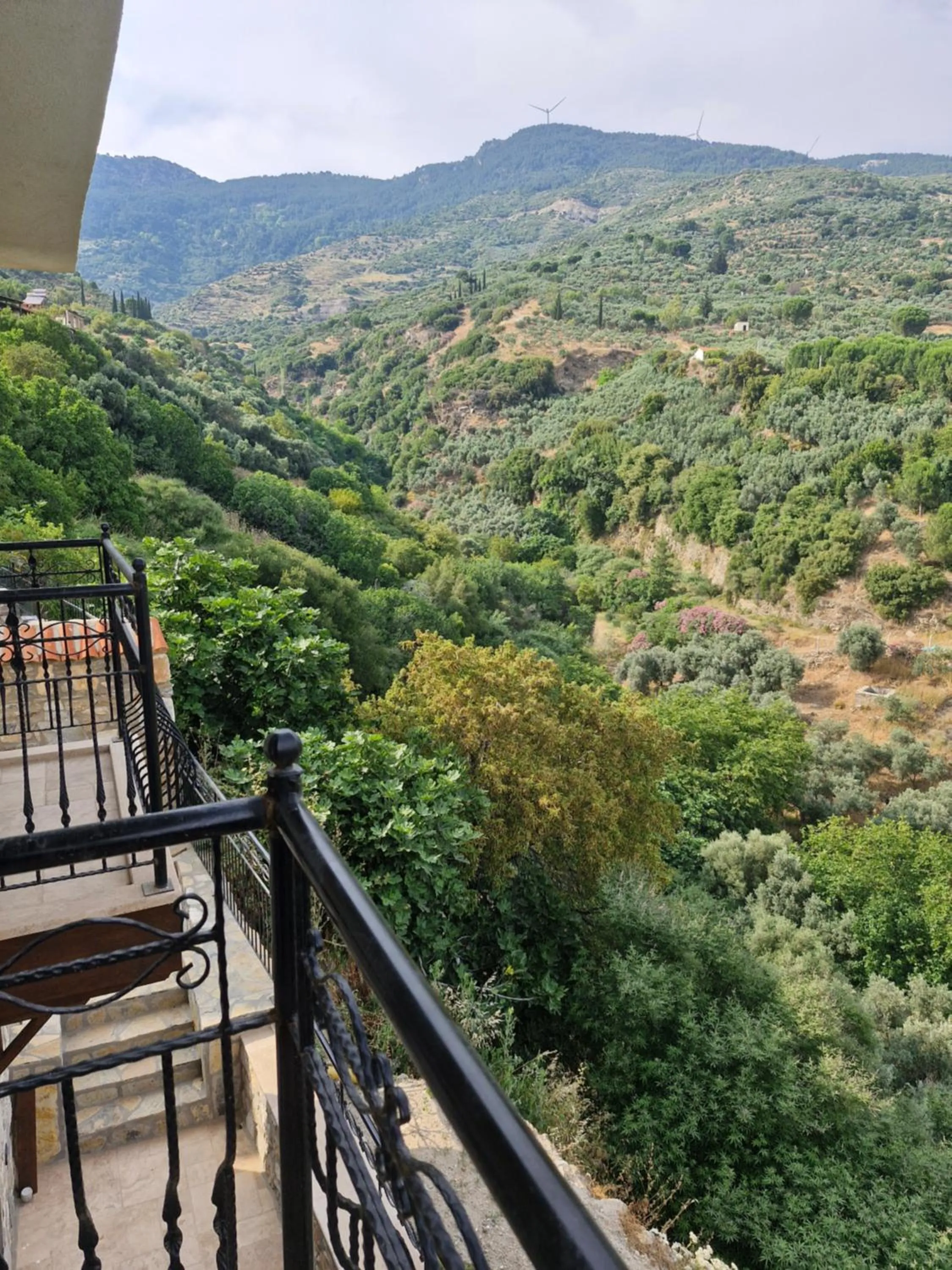 View (from property/room) in Bahab Guest House