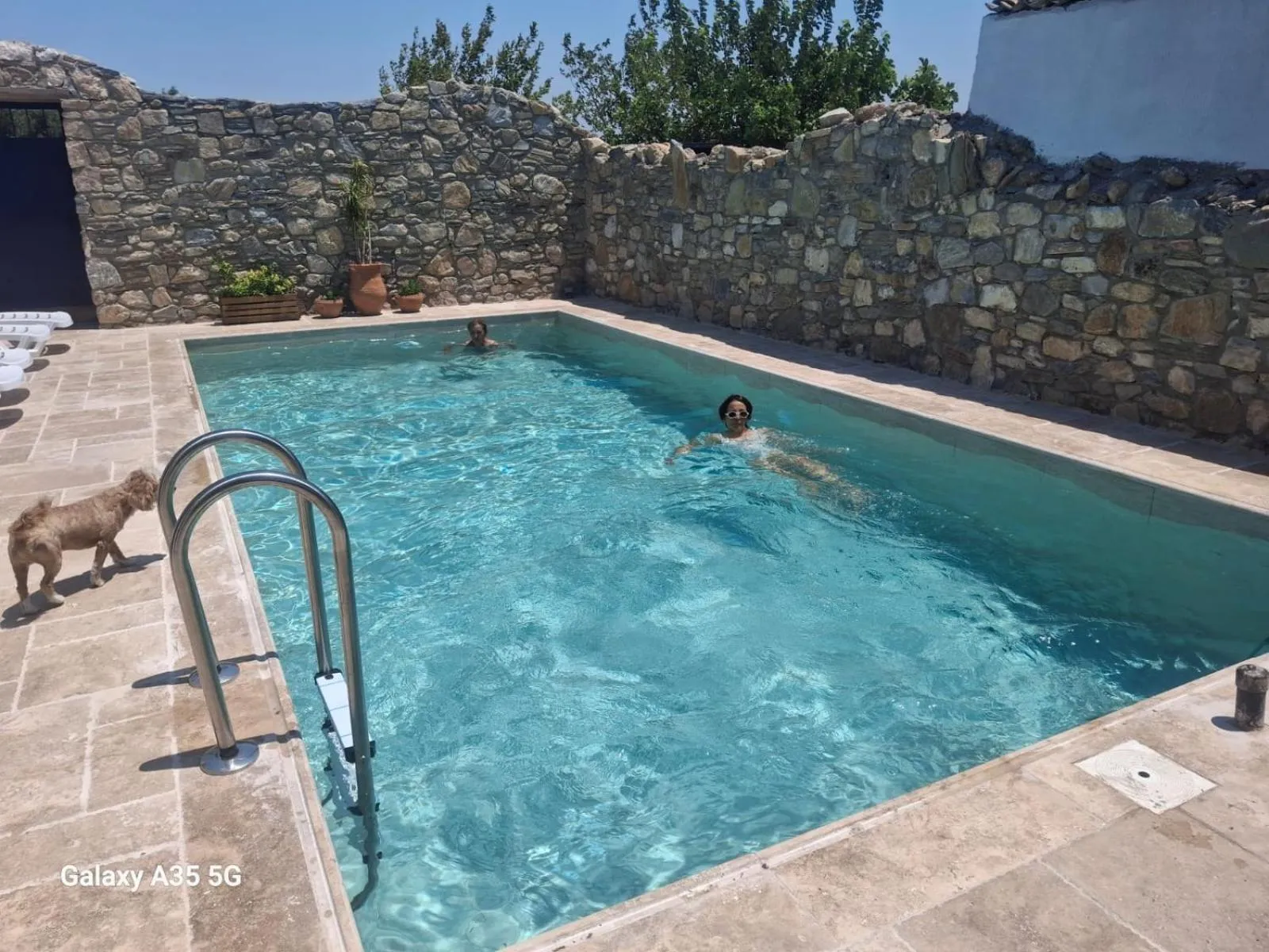 Swimming pool in Bahab Guest House