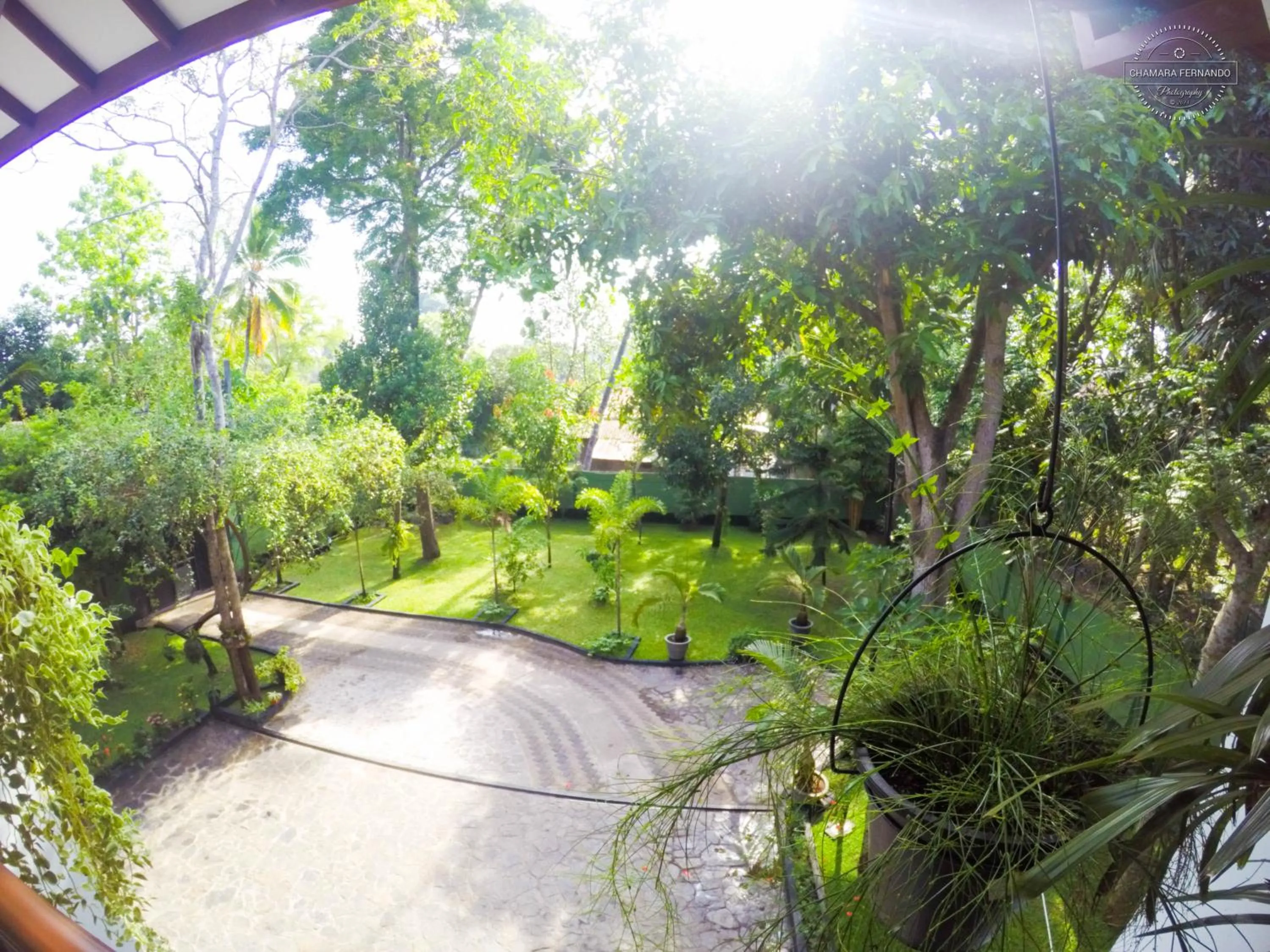 Garden view in West Dene