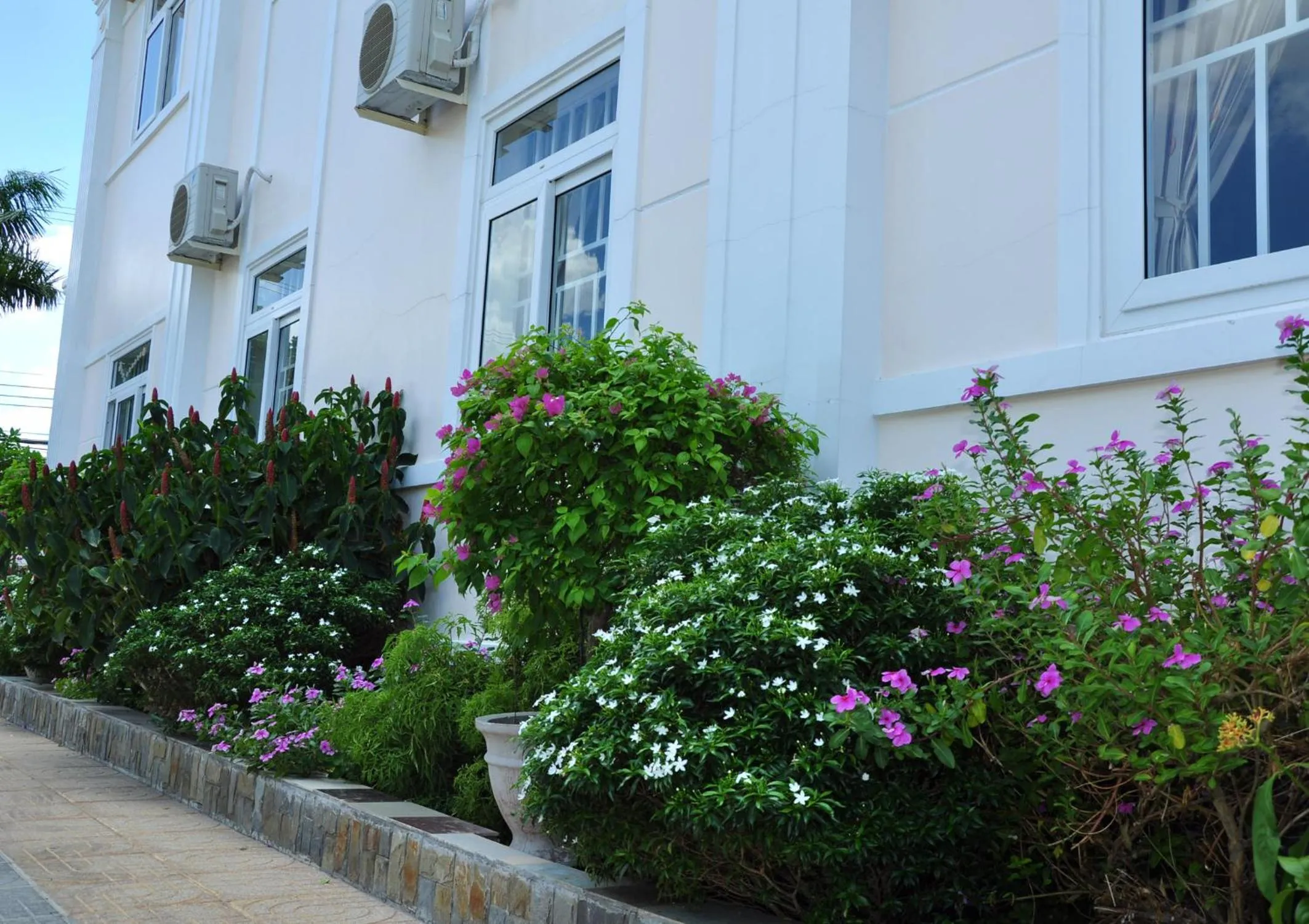 Property building in Tan Duy Hotel