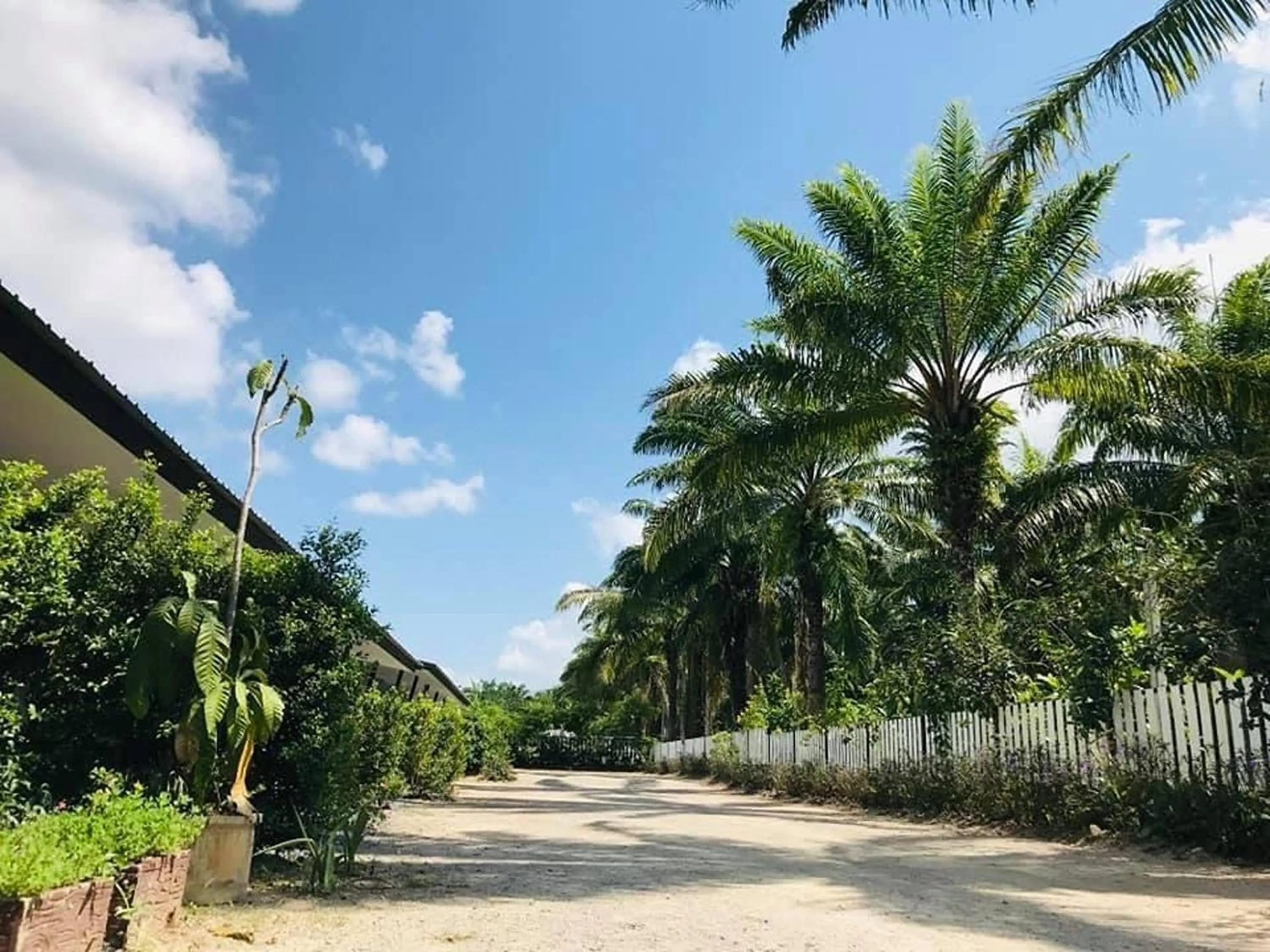 Property building in Golden Palm Resort