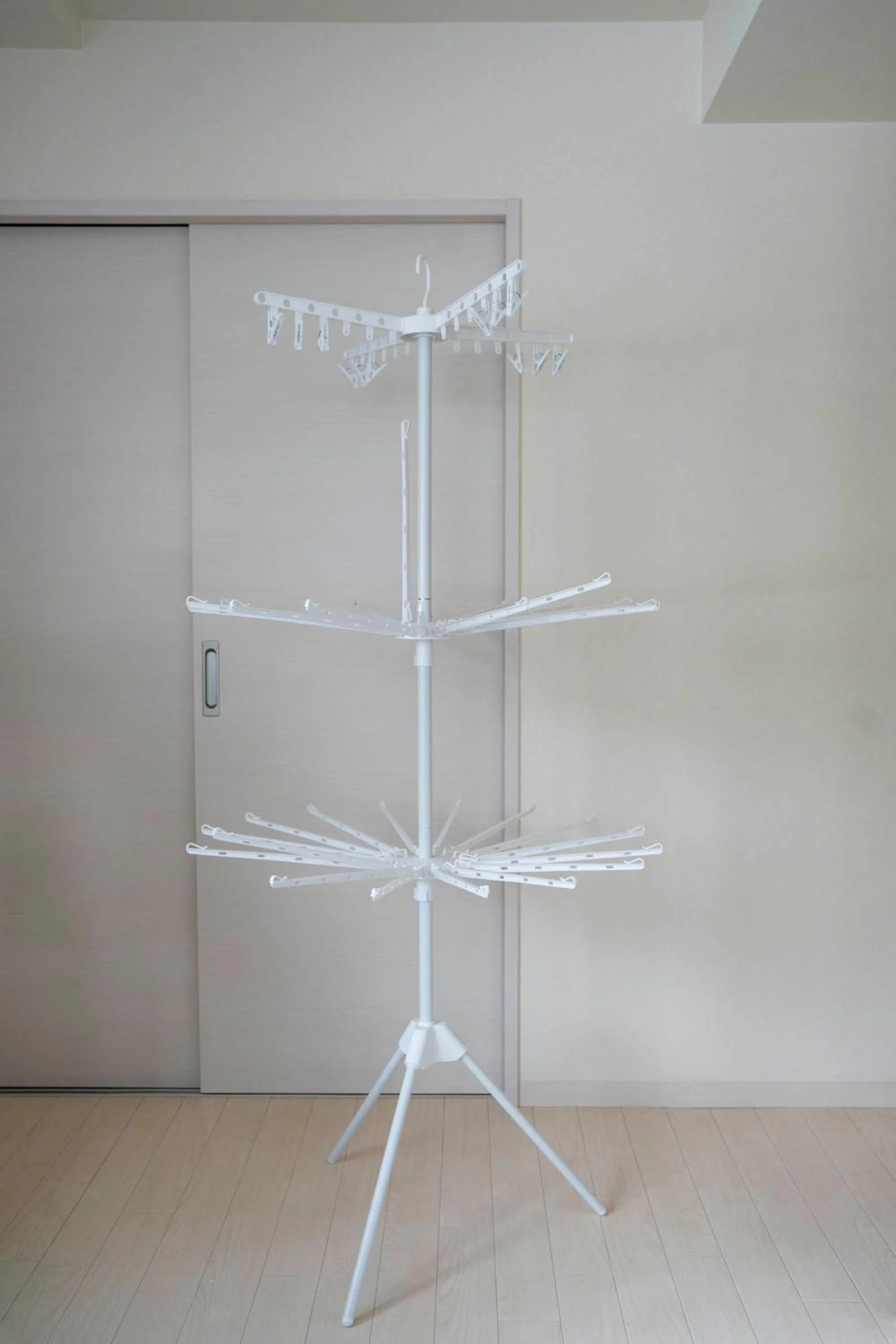 wardrobe in Court Villa Sapporo 403