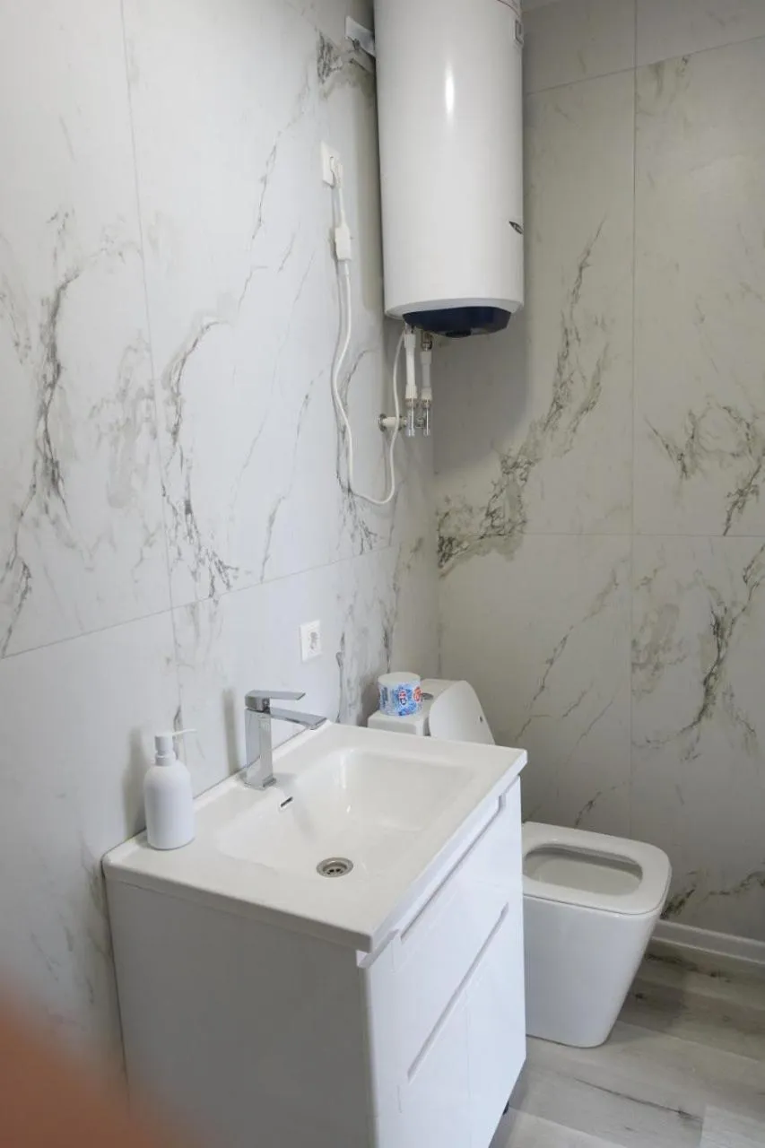 Toilet in Apple Hostel Bishkek