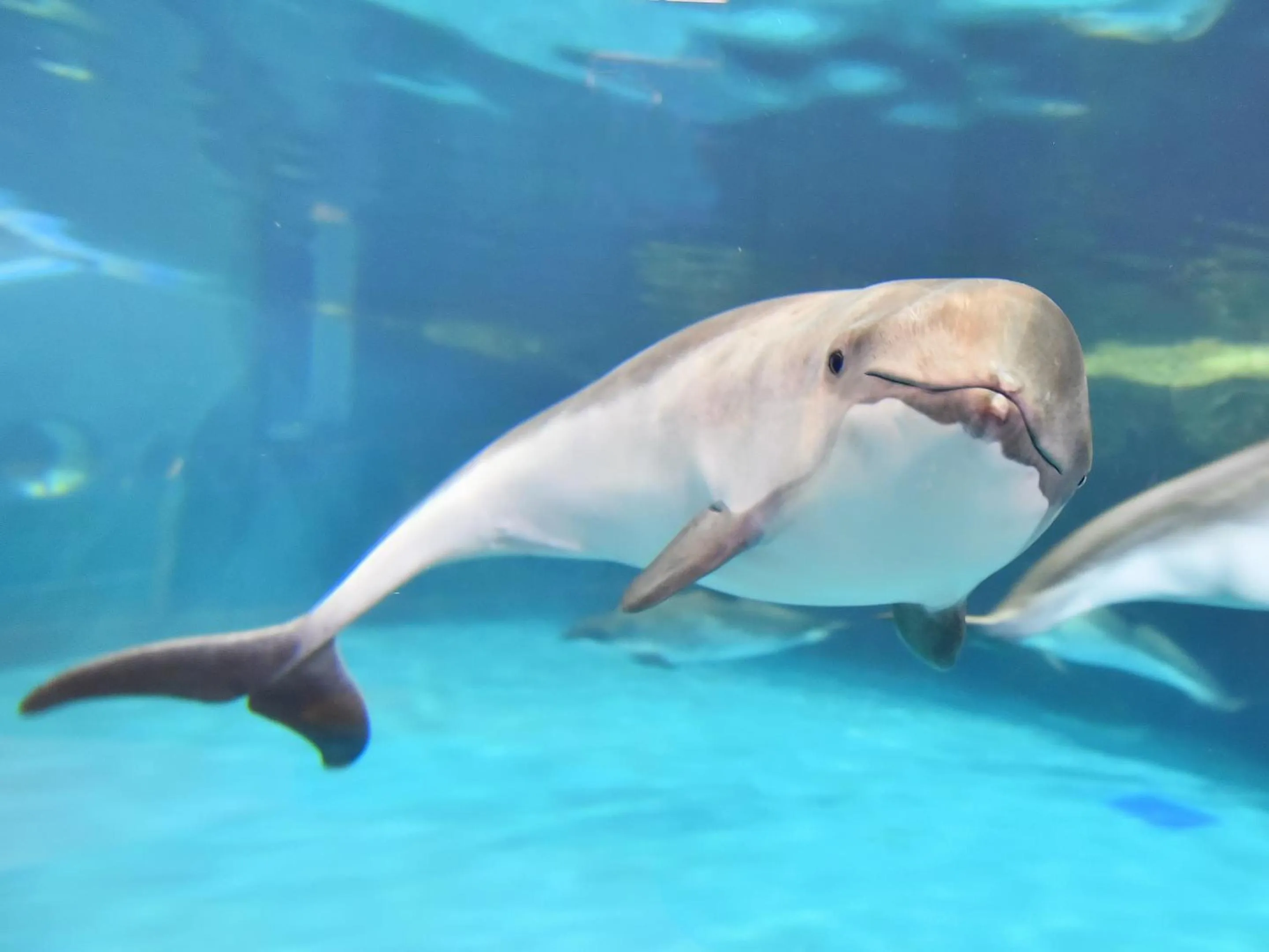 Nearby landmark in Granbell Hotel Otaru