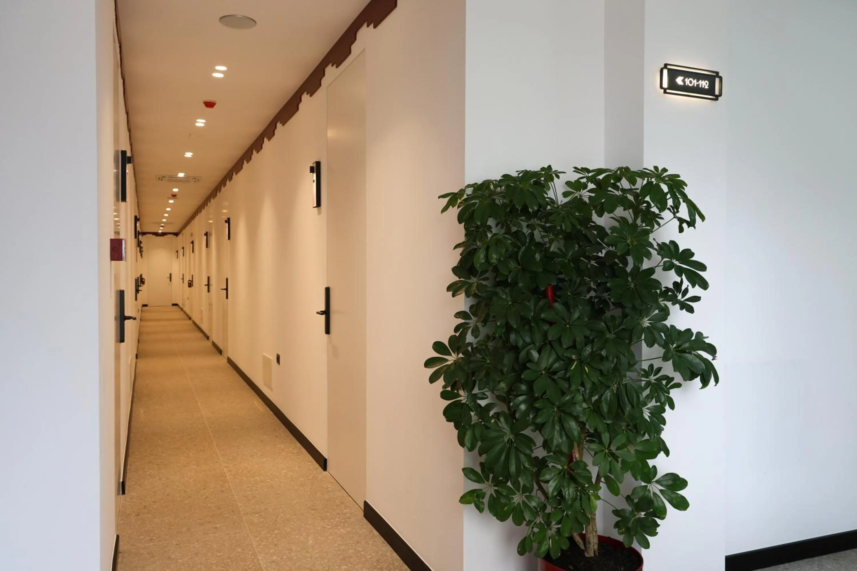 Property building in Bazaar Hotel