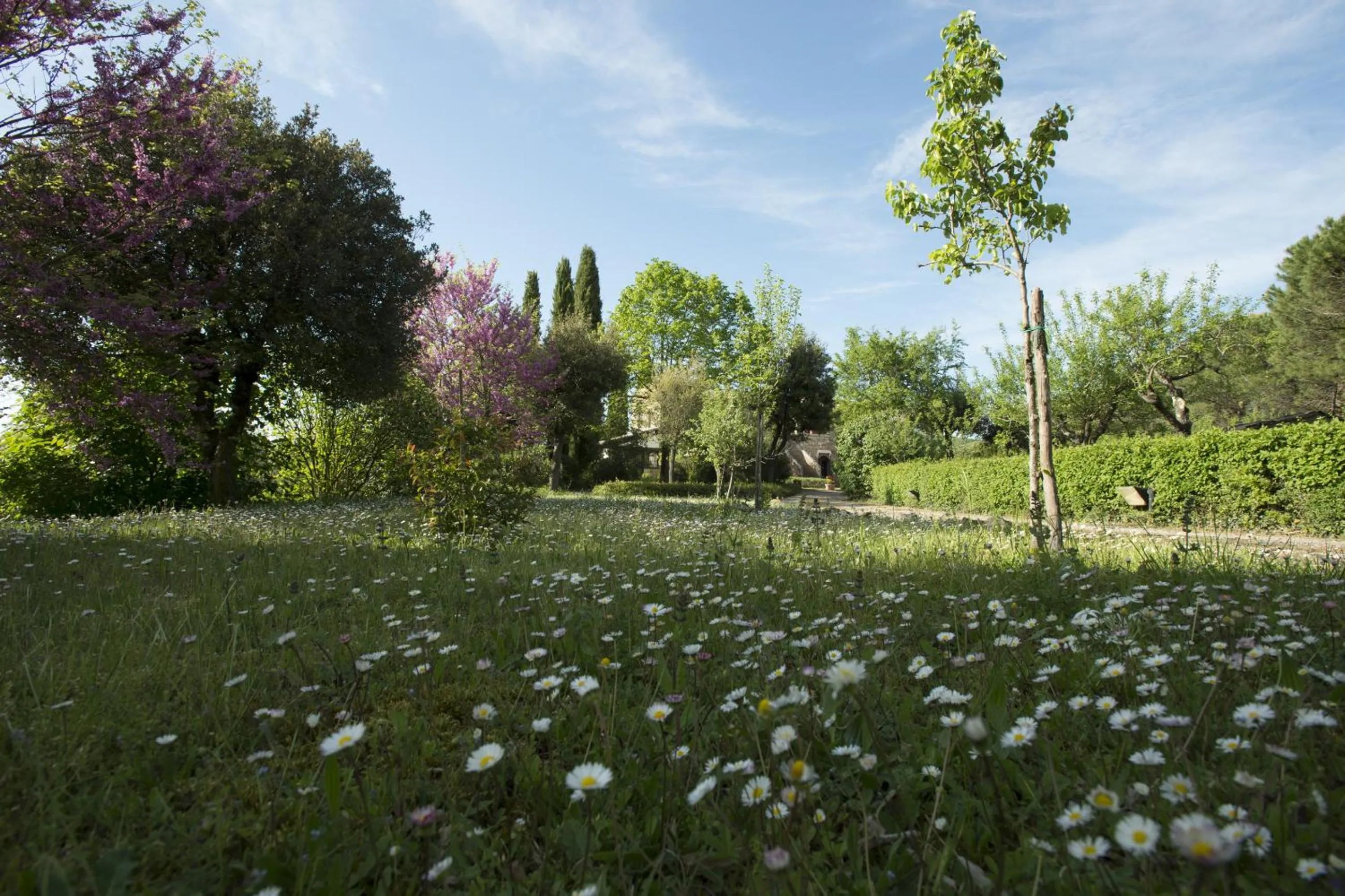 Garden in La Vittoria 10 – La Soglia della Val d’Orcia