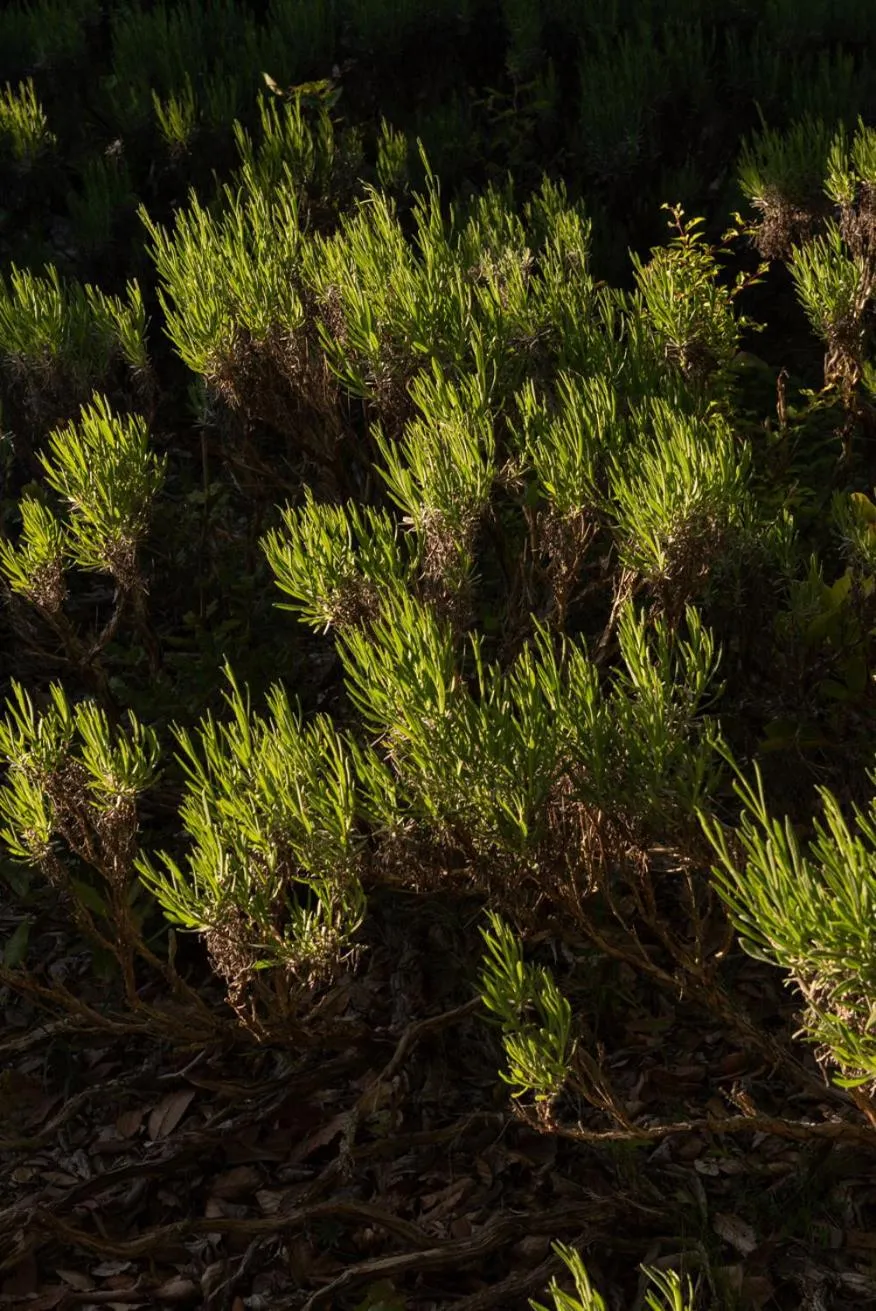 La Vittoria 10 – La Soglia della Val d’Orcia