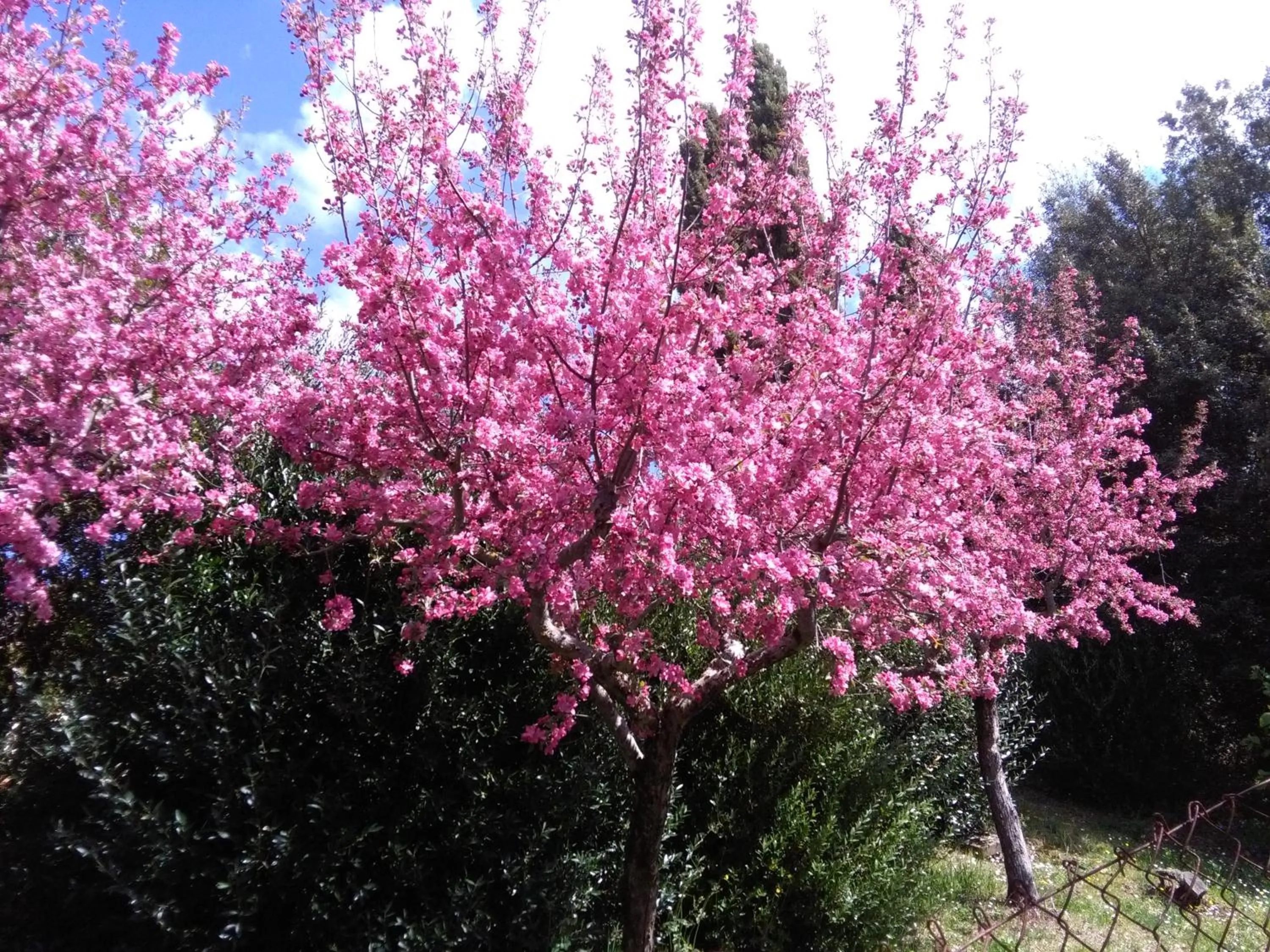 La Vittoria 10 – La Soglia della Val d’Orcia