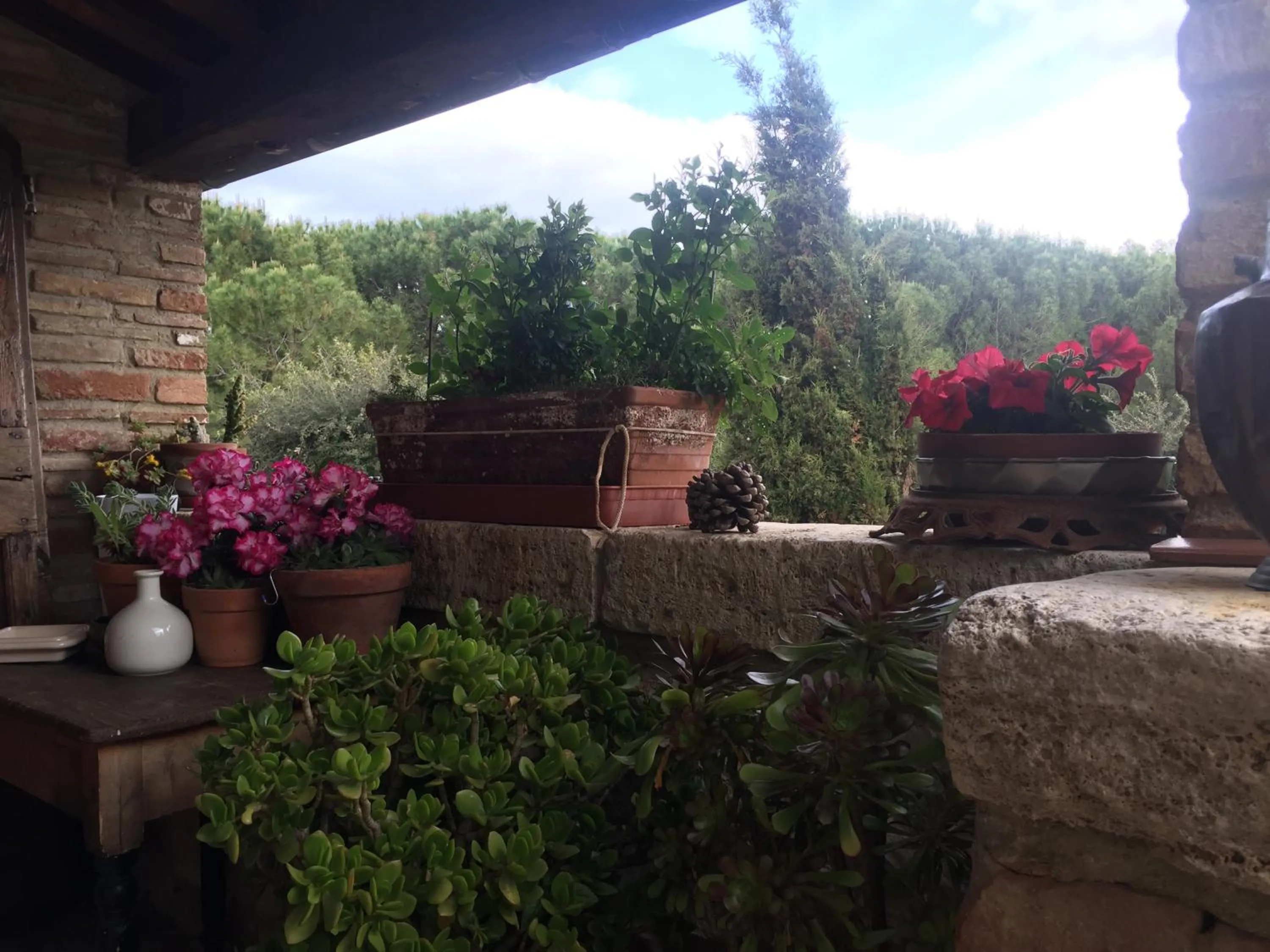 Patio in La Vittoria 10 – La Soglia della Val d’Orcia