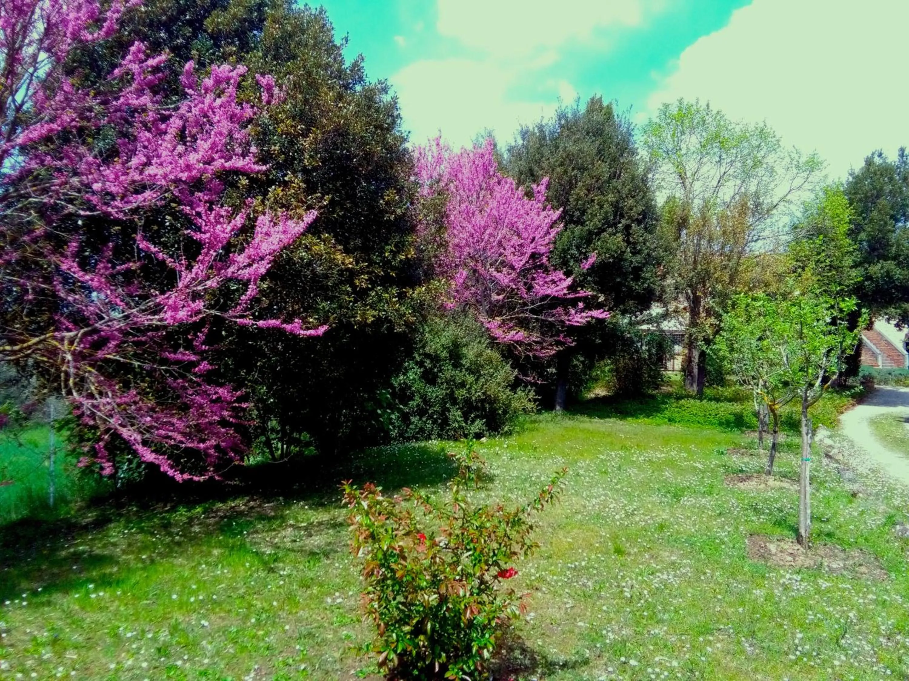 La Vittoria 10 – La Soglia della Val d’Orcia