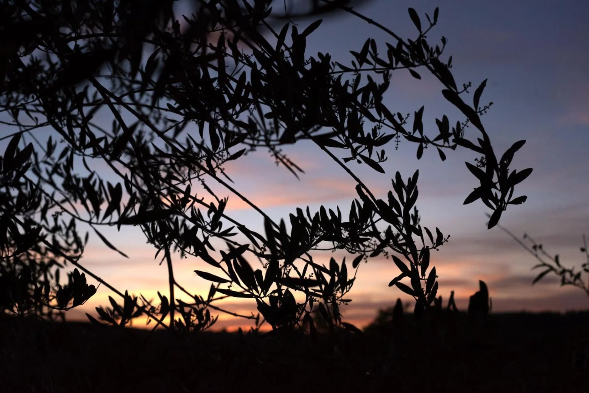 La Vittoria 10 – La Soglia della Val d’Orcia