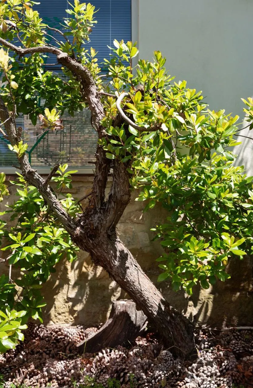 La Vittoria 10 – La Soglia della Val d’Orcia