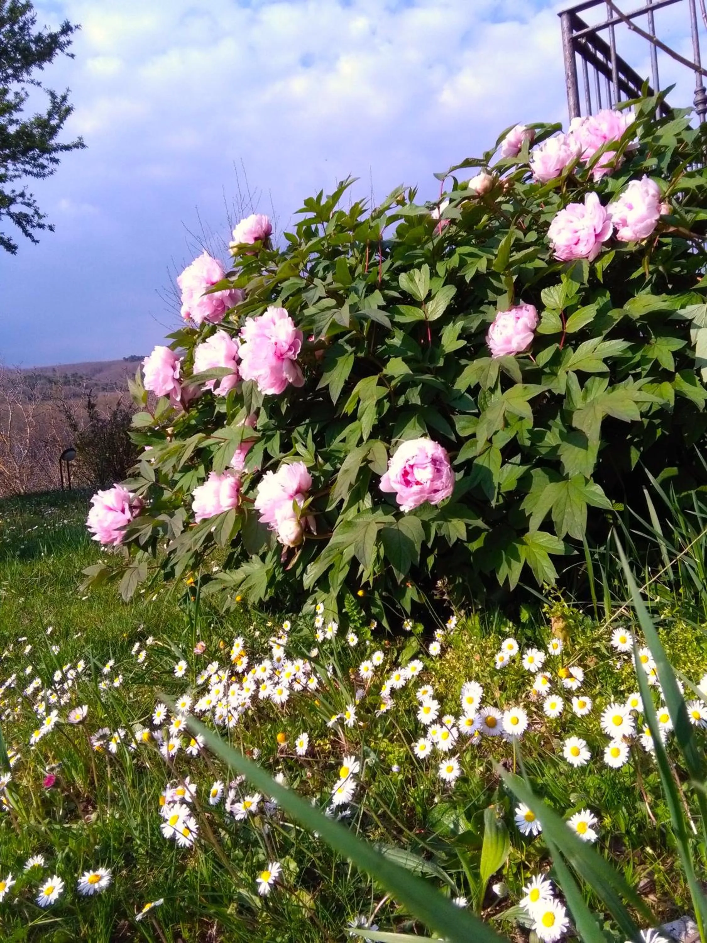 La Vittoria 10 – La Soglia della Val d’Orcia