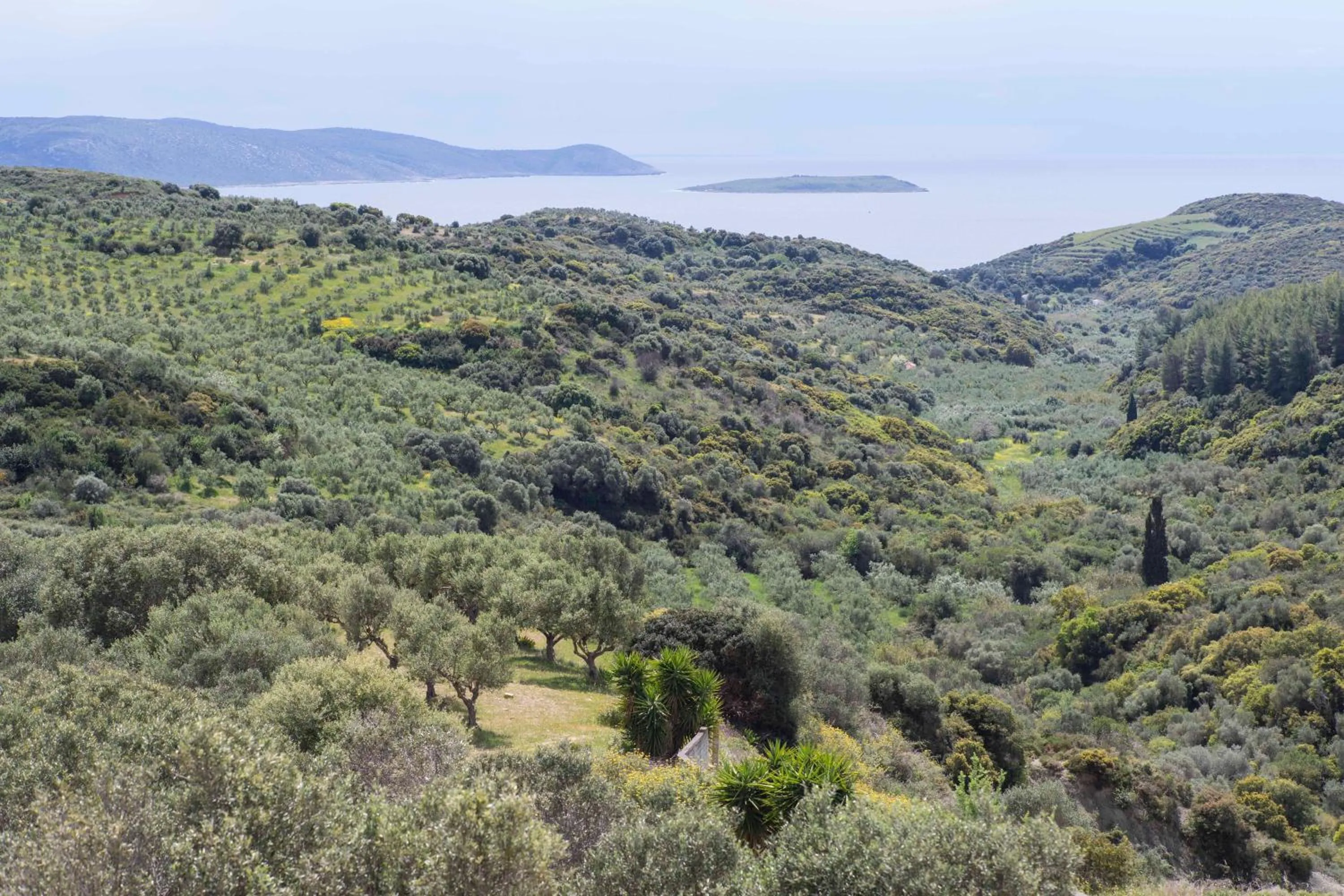 Sea view in Afentiko Pigadi