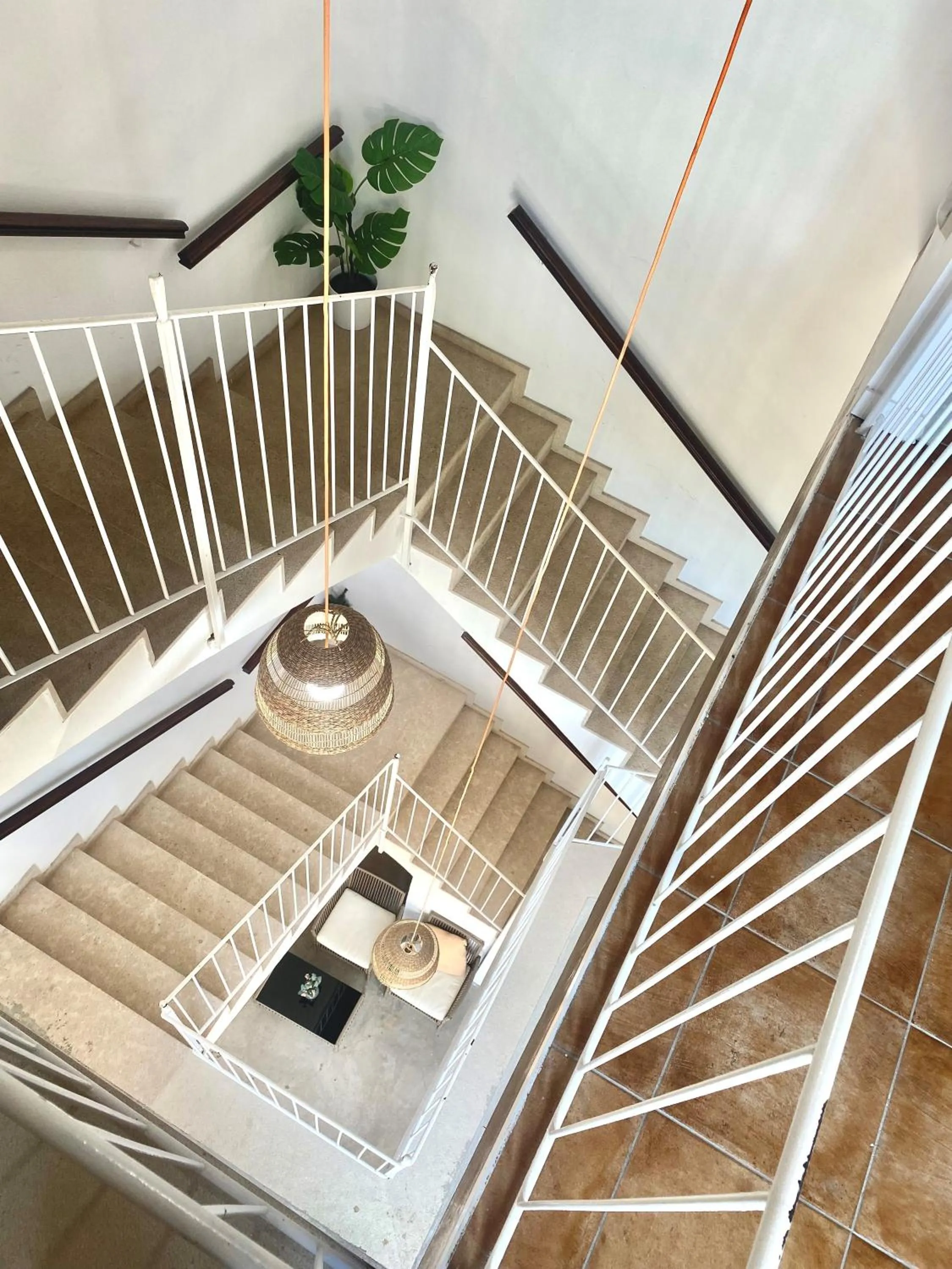 Area and facilities in Urban Hostel Palma - Albergue Juvenil - Youth Hostel