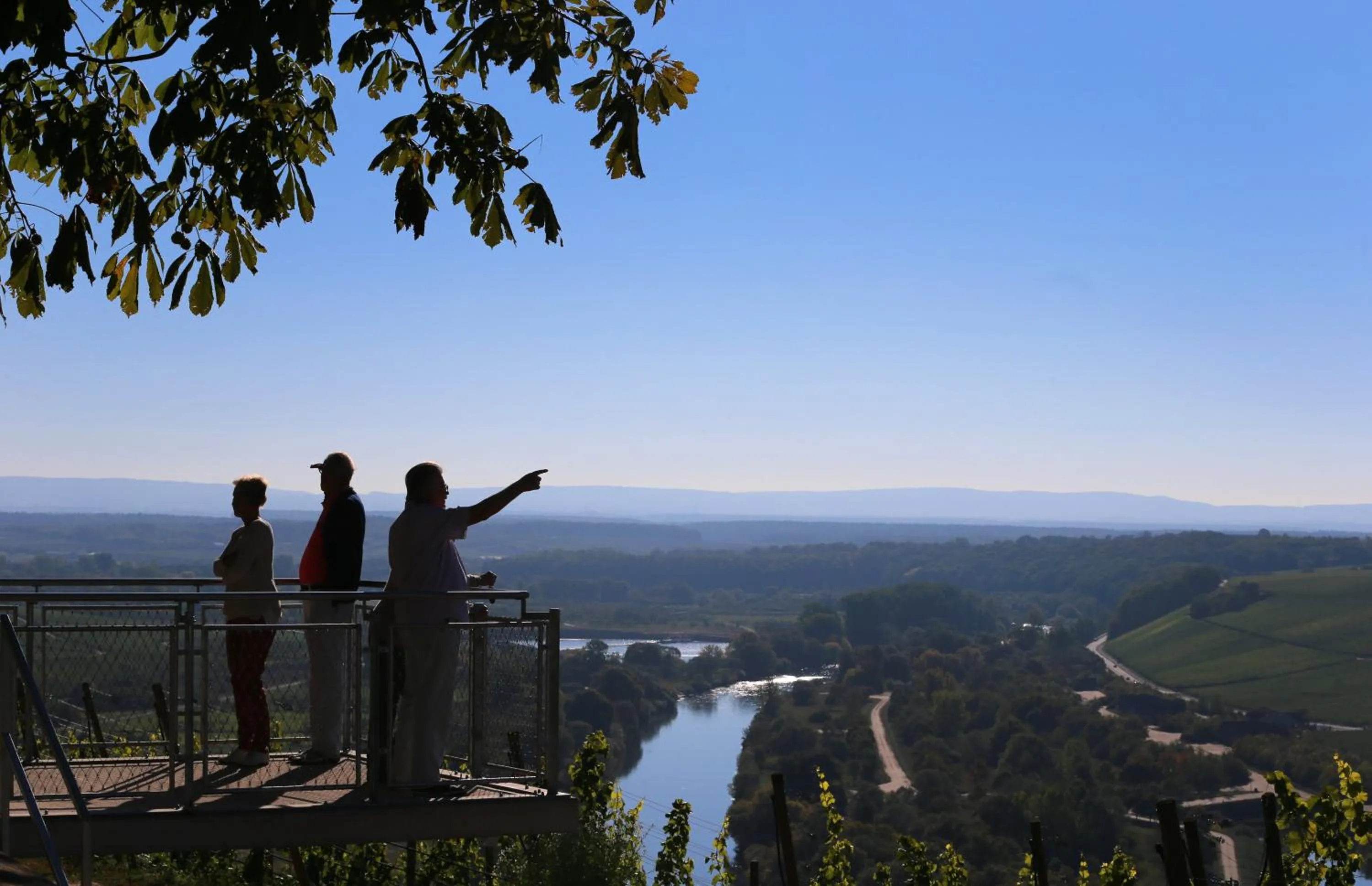 On site in Vogelsburg