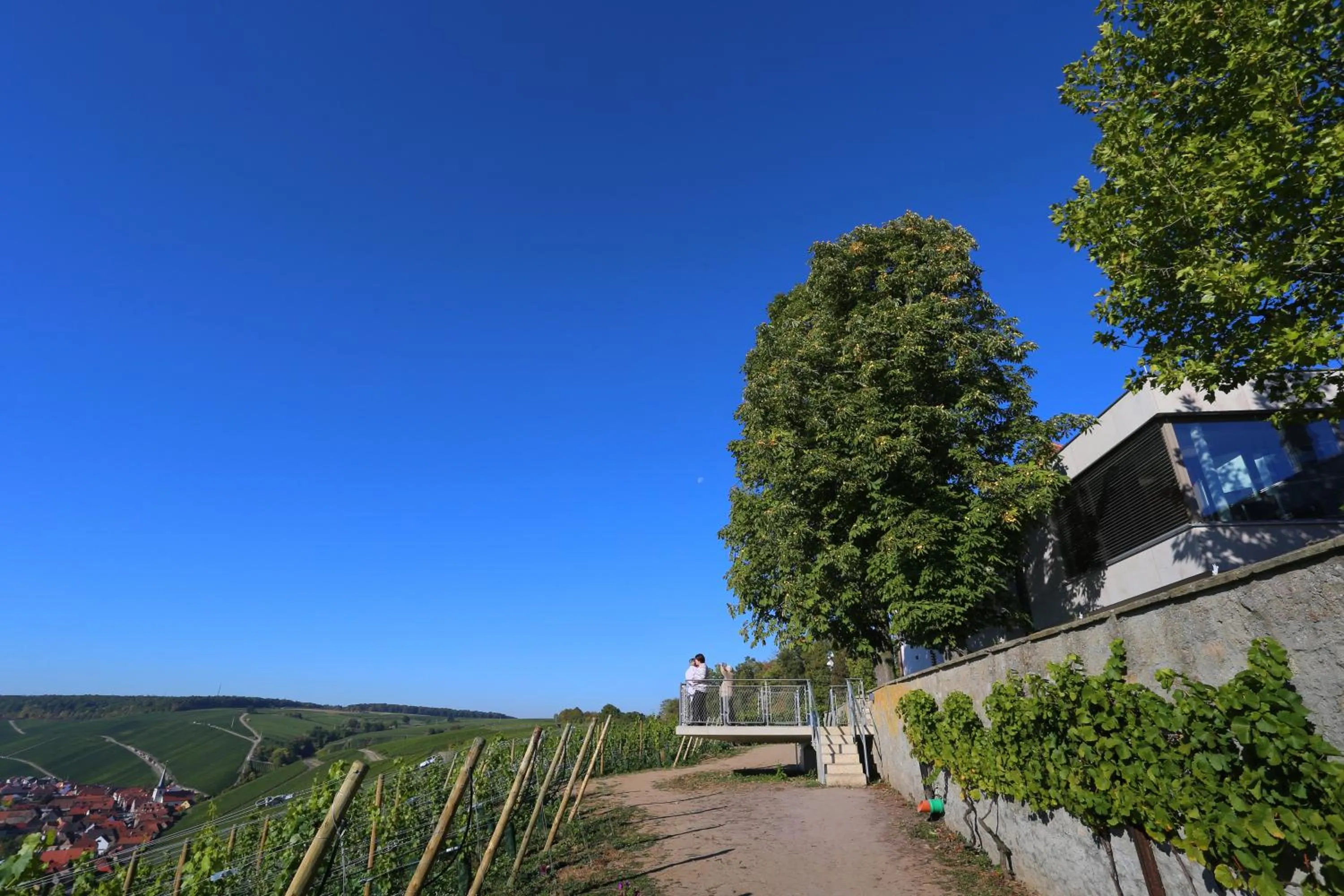 Facade/entrance in Vogelsburg