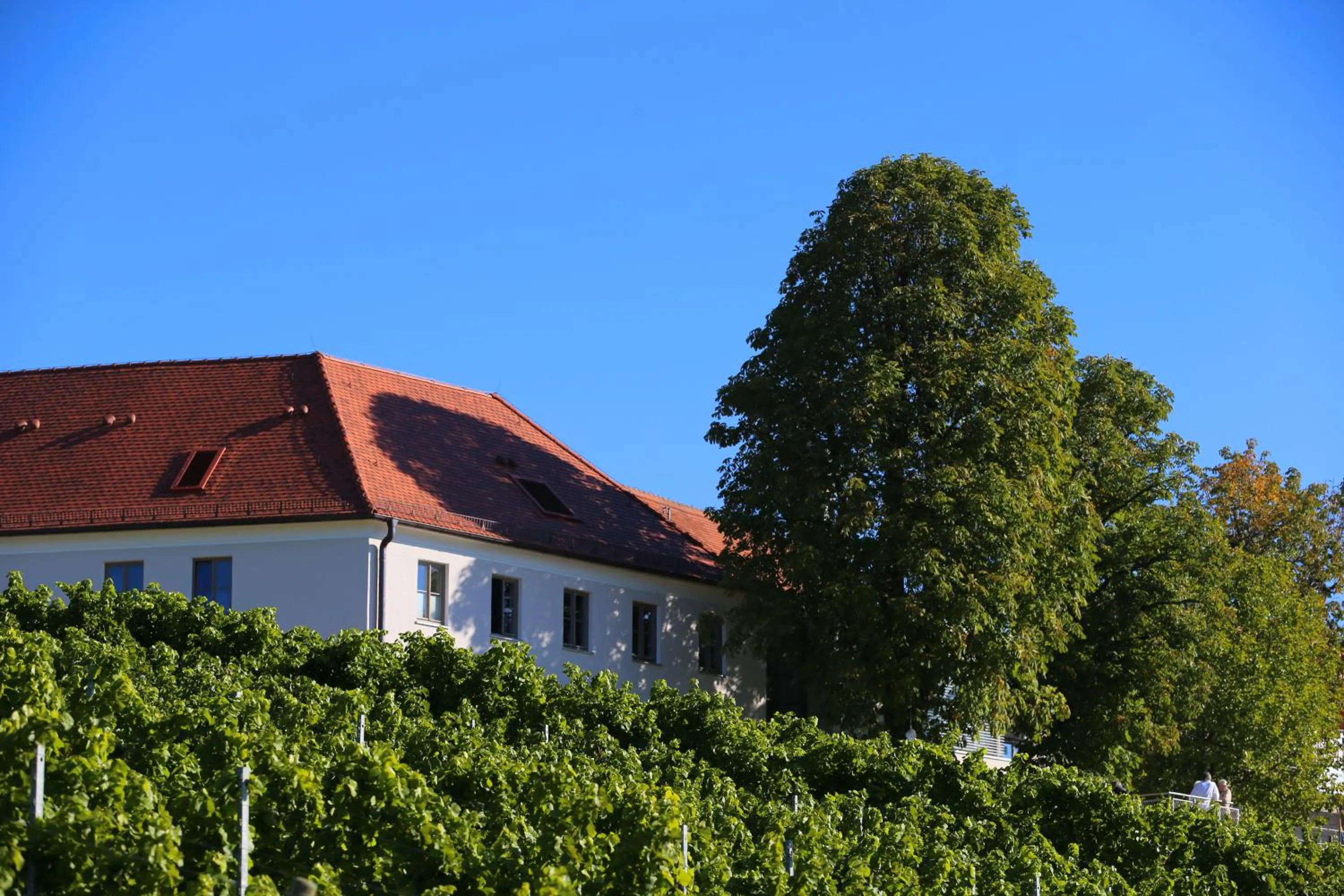 Facade/entrance in Vogelsburg