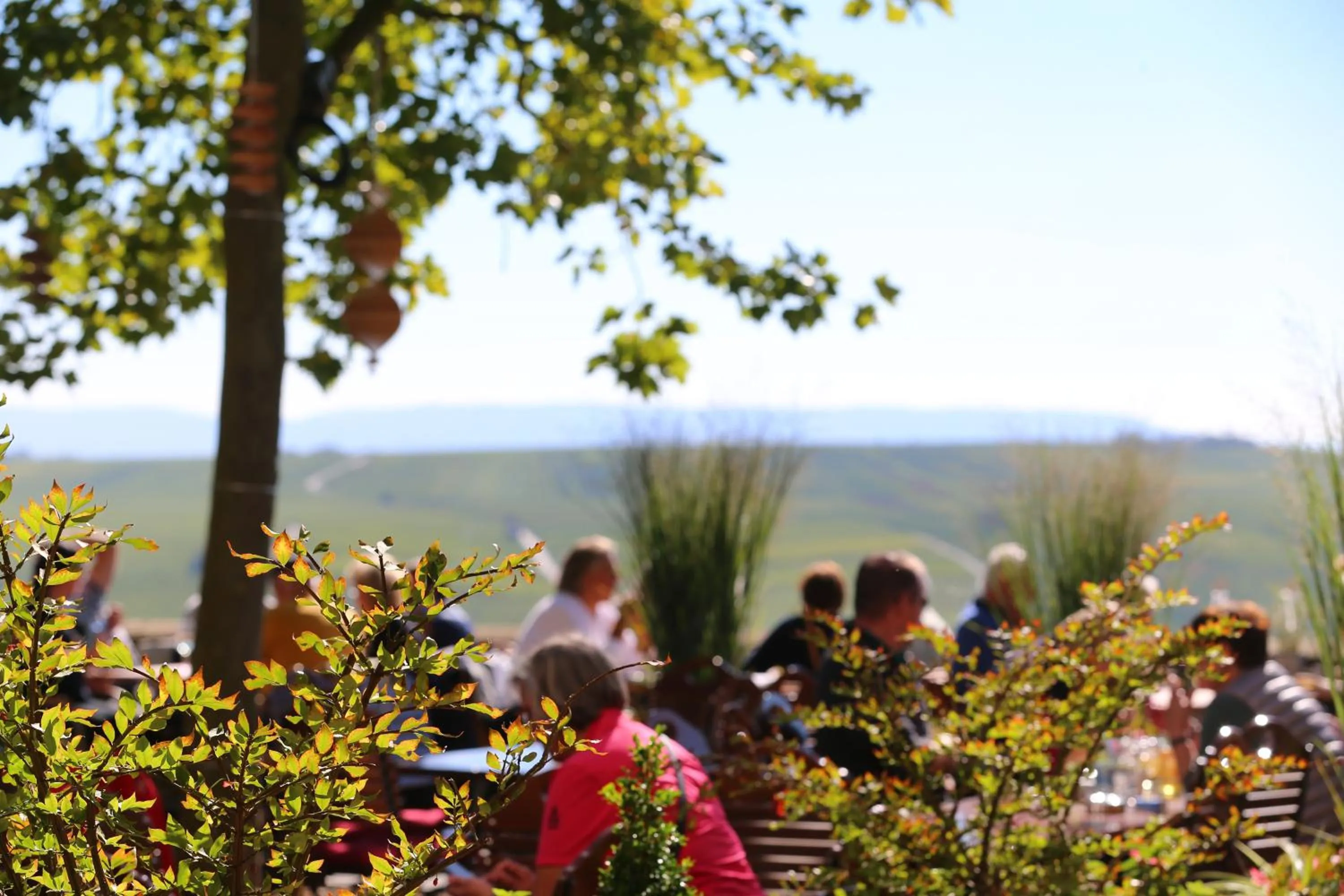 Garden in Vogelsburg