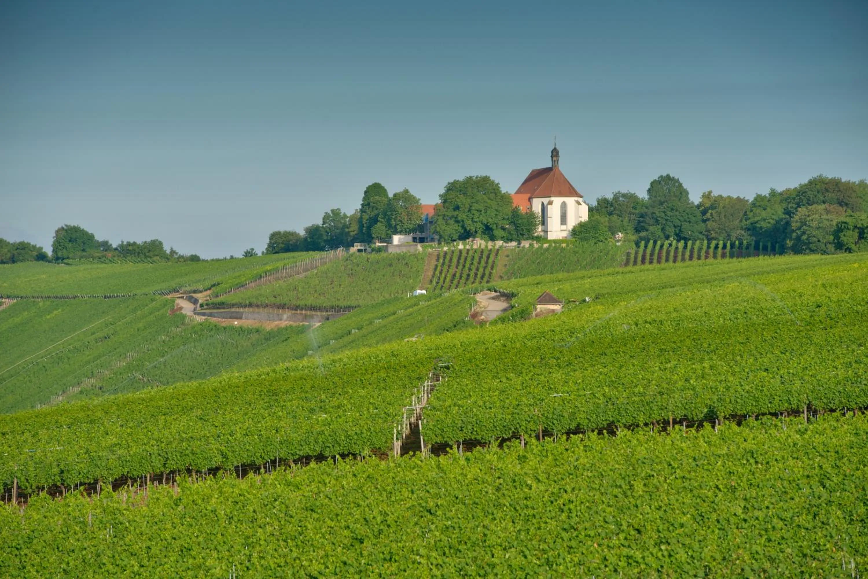 Property building in Vogelsburg