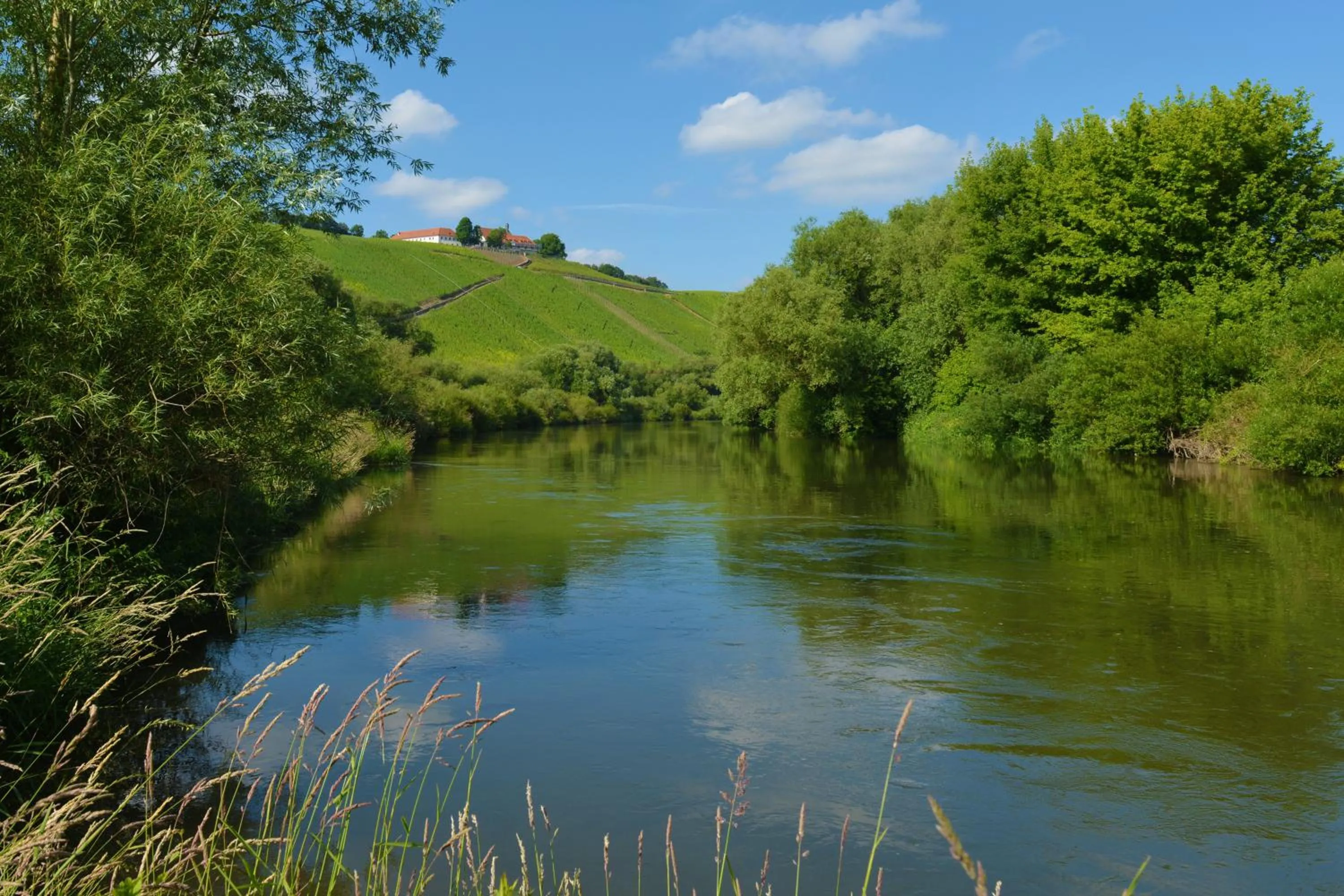 Canoeing in Vogelsburg
